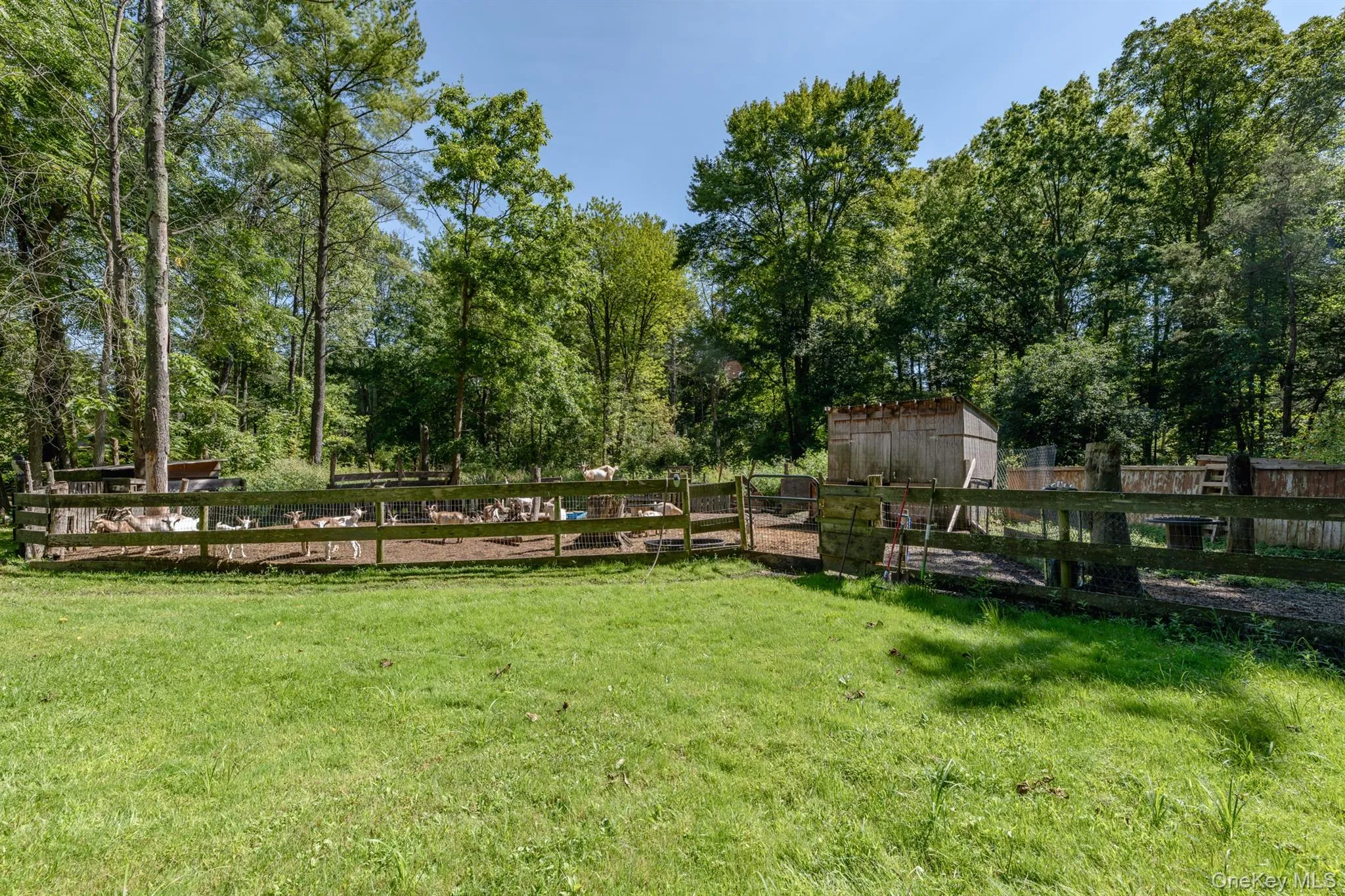 28 Buck Lane, Saugerties, NY, 3 Bedrooms Bedrooms, 8 Rooms Rooms,2 BathroomsBathrooms,Residential,For Rent,Buck,0,1045558 28 Buck Lane, Saugerties, NY, 3 Bedrooms Bedrooms, 8 Rooms Rooms,2 BathroomsBathrooms,Residential,For Rent,Buck,0,1045558