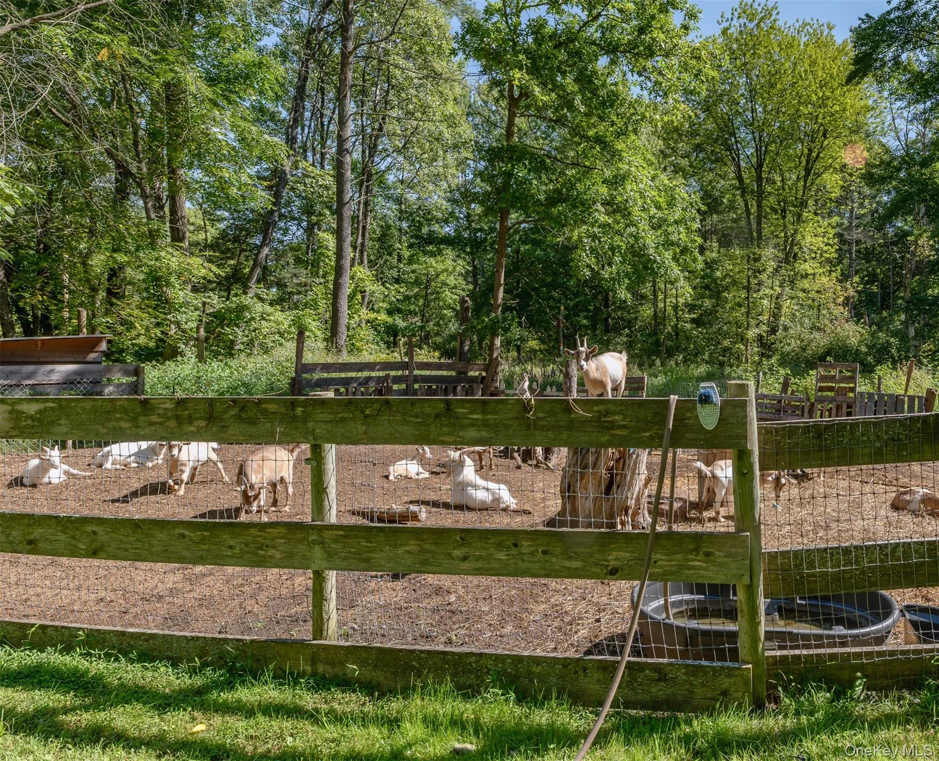 28 Buck Lane, Saugerties, NY, 3 Bedrooms Bedrooms, 8 Rooms Rooms,2 BathroomsBathrooms,Residential,For Rent,Buck,0,1045558 28 Buck Lane, Saugerties, NY, 3 Bedrooms Bedrooms, 8 Rooms Rooms,2 BathroomsBathrooms,Residential,For Rent,Buck,0,1045558