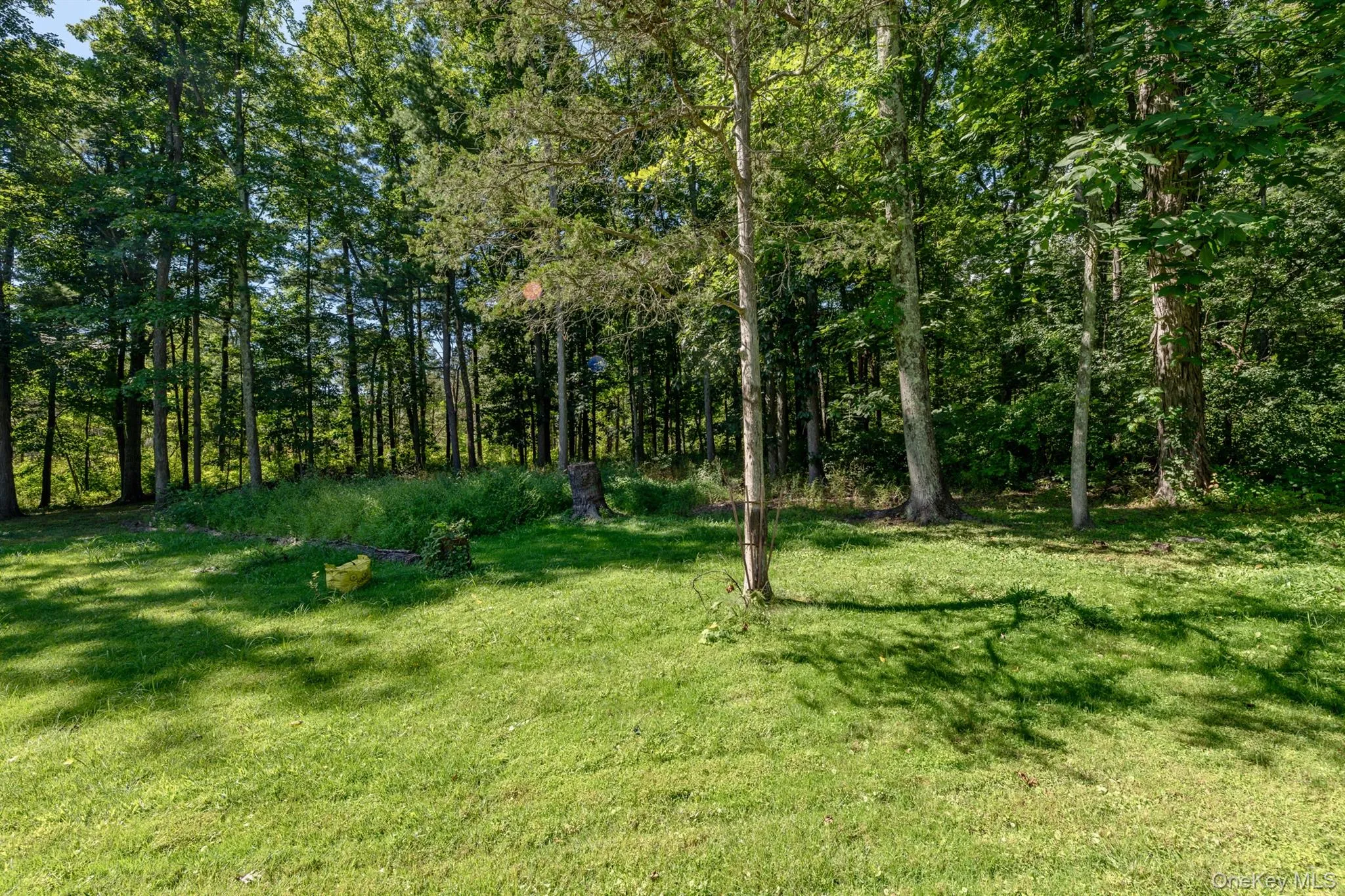 28 Buck Lane, Saugerties, NY, 3 Bedrooms Bedrooms, 8 Rooms Rooms,2 BathroomsBathrooms,Residential,For Rent,Buck,0,1045558 28 Buck Lane, Saugerties, NY, 3 Bedrooms Bedrooms, 8 Rooms Rooms,2 BathroomsBathrooms,Residential,For Rent,Buck,0,1045558