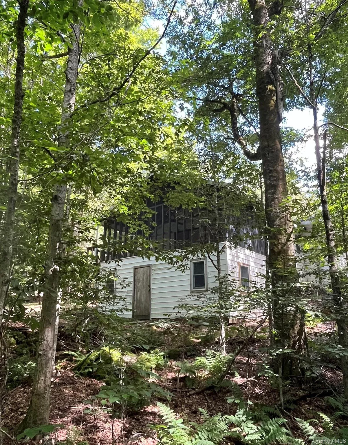 21 Browns Road, Neversink, NY, 4 Bedrooms Bedrooms, 9 Rooms Rooms,2 BathroomsBathrooms,Residential,For Rent,Browns,0,1045597 21 Browns Road, Neversink, NY, 4 Bedrooms Bedrooms, 9 Rooms Rooms,2 BathroomsBathrooms,Residential,For Rent,Browns,0,1045597