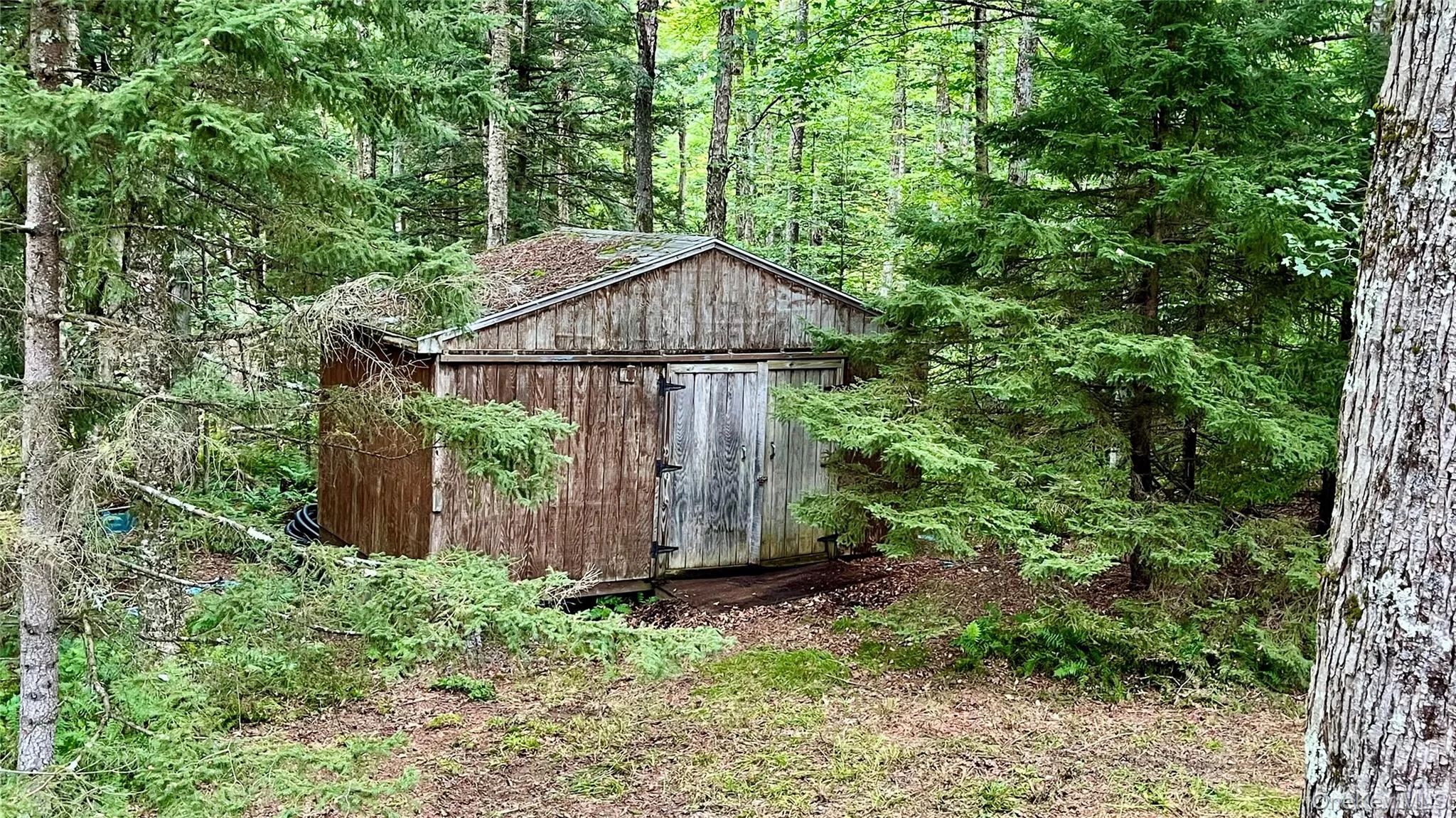 empty storage shed empty storage shed