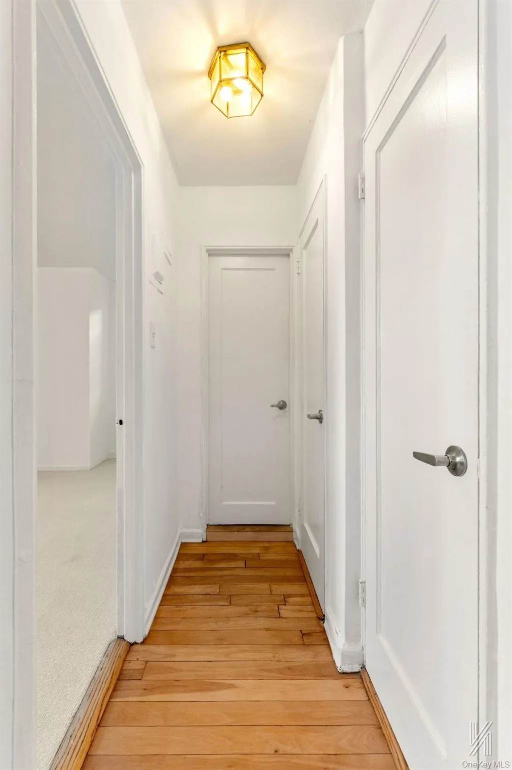 39-25 51st Street, New York, NY, 1 Bedroom Bedrooms, 4 Rooms Rooms,1 BathroomBathrooms,Residential,For Rent,51st,0,1045617 39-25 51st Street, New York, NY, 1 Bedroom Bedrooms, 4 Rooms Rooms,1 BathroomBathrooms,Residential,For Rent,51st,0,1045617