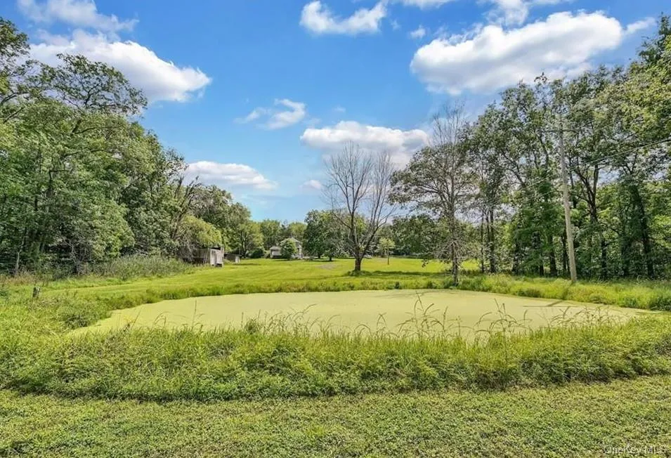 2374 Bruynswick Road, Shawangunk, NY, 4 Bedrooms Bedrooms, 8 Rooms Rooms,2 BathroomsBathrooms,Residential,For Rent,Bruynswick,0,1045660 2374 Bruynswick Road, Shawangunk, NY, 4 Bedrooms Bedrooms, 8 Rooms Rooms,2 BathroomsBathrooms,Residential,For Rent,Bruynswick,0,1045660