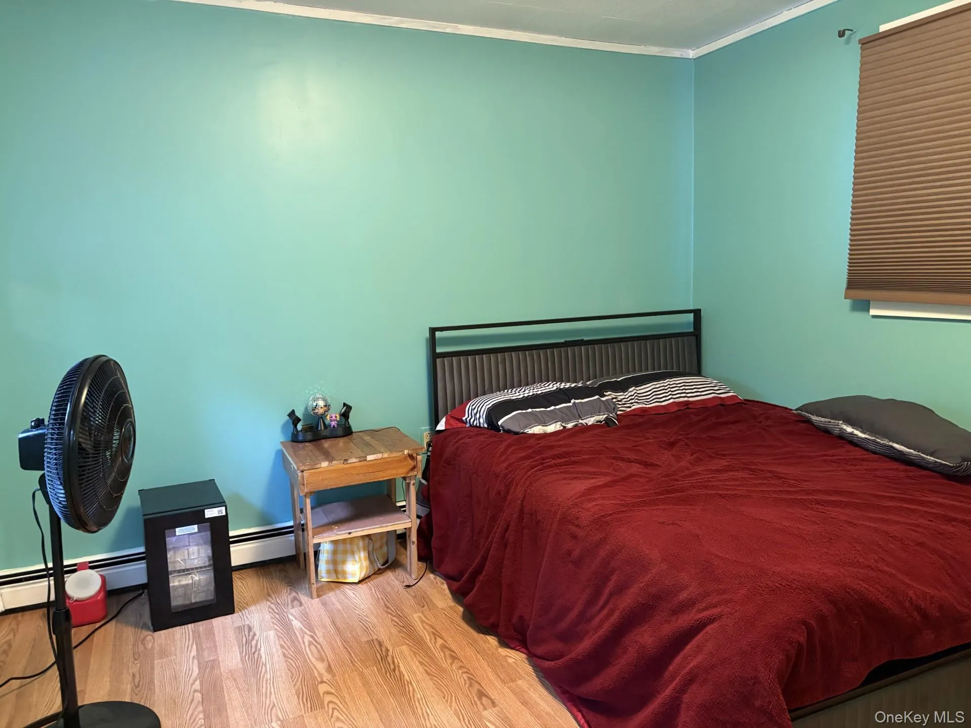 Bedroom or flex room Bedroom or flex room
