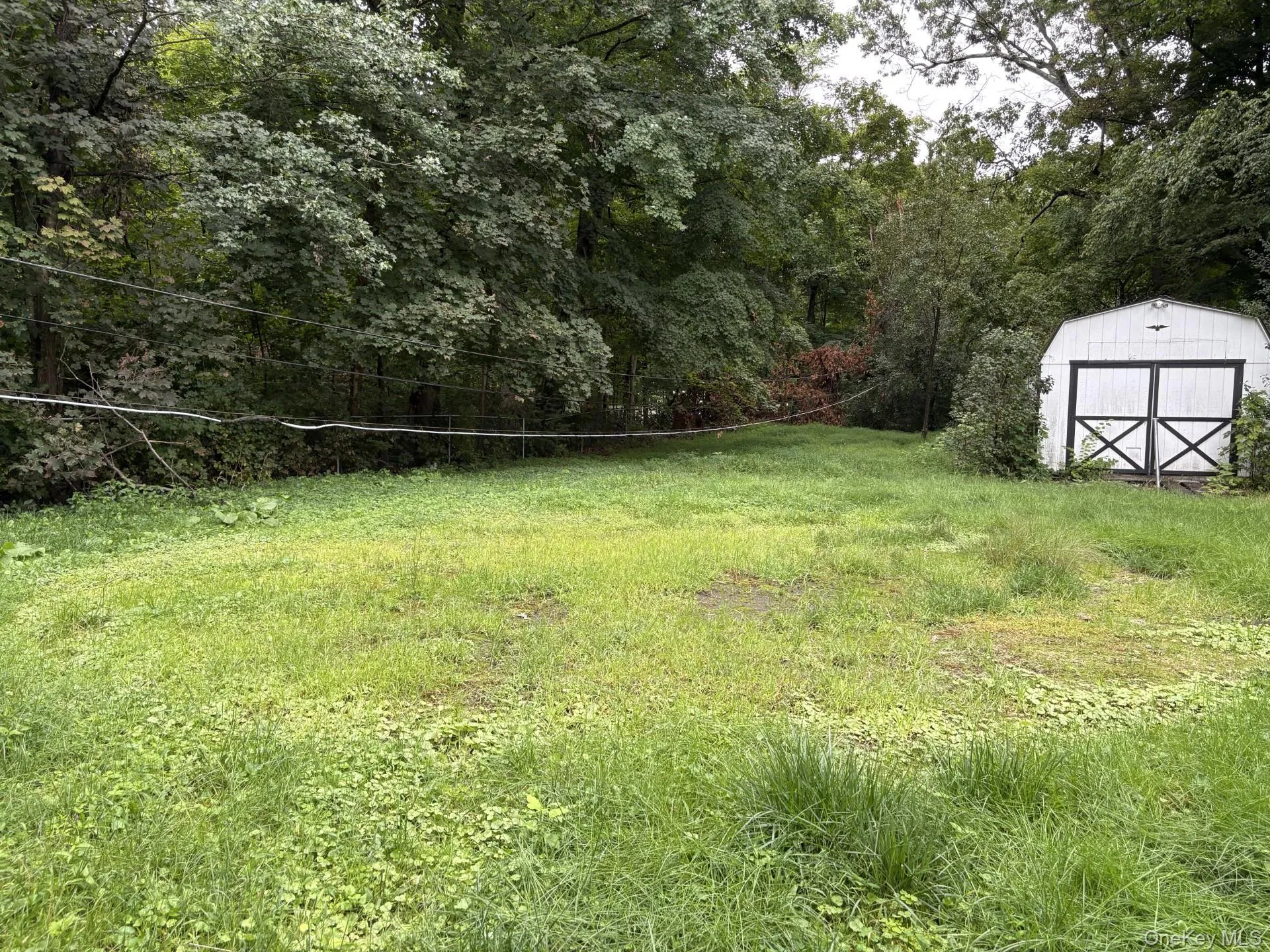 Backyard Backyard