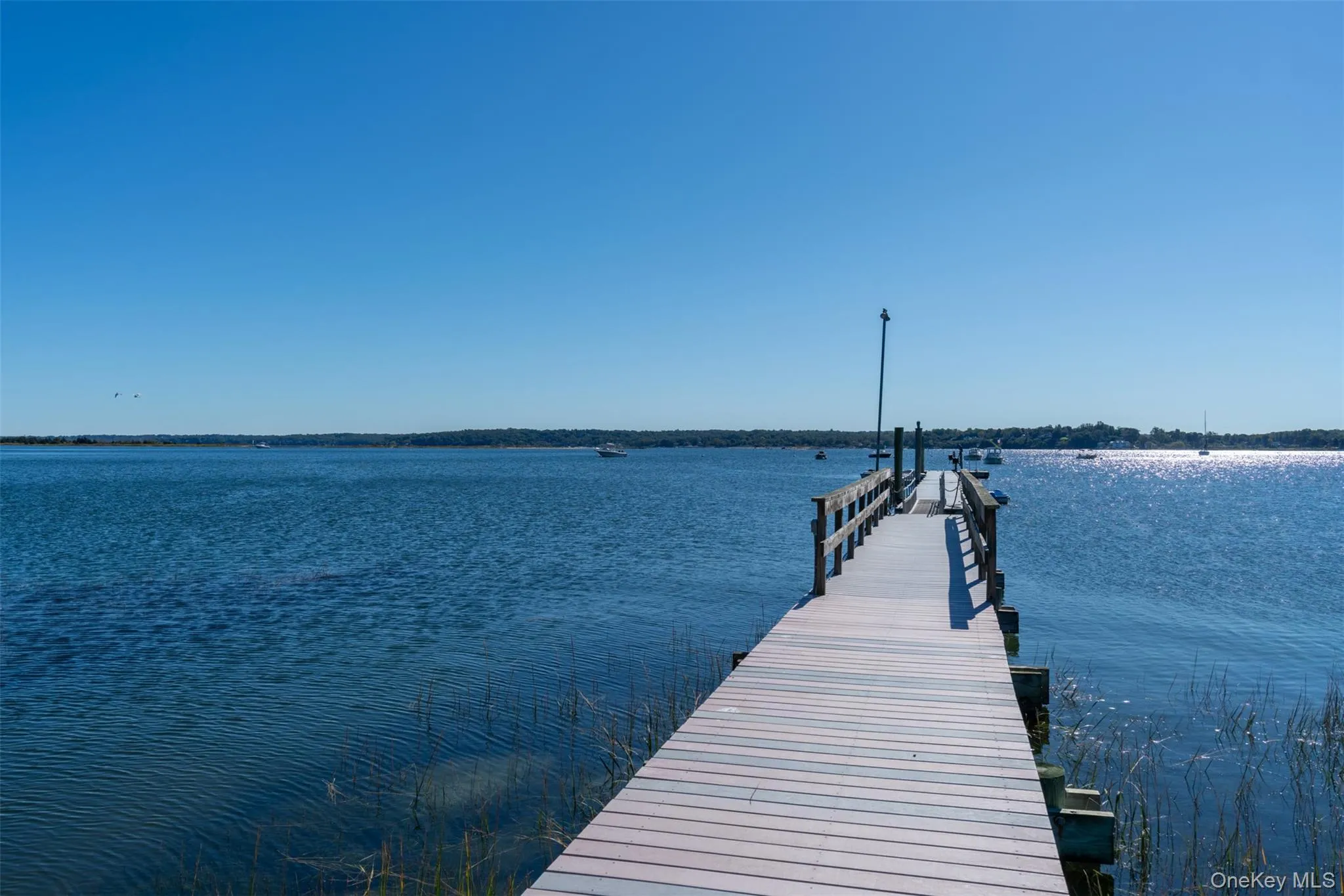 Association Dock Association Dock