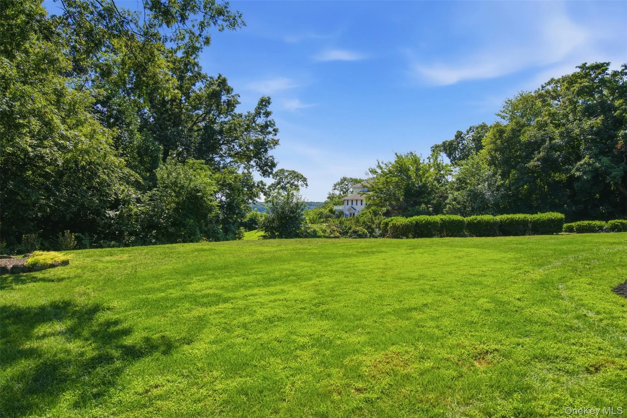 Professionally Landscaped Yard Professionally Landscaped Yard