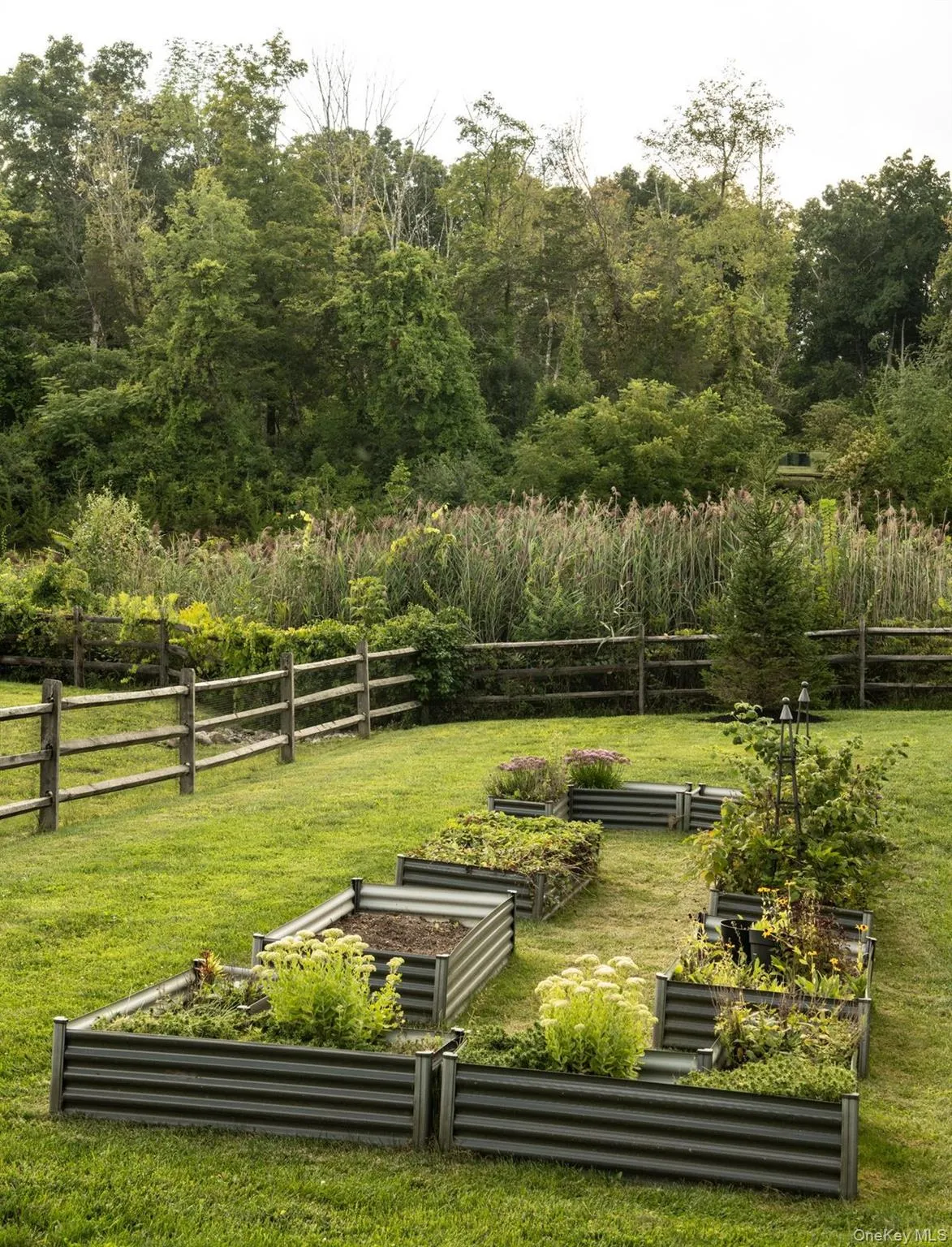 11 Crimson Hill, Rhinebeck, NY, 4 Bedrooms Bedrooms, 15 Rooms Rooms,3 BathroomsBathrooms,Residential,For Rent,Crimson Hill,0,1045717 11 Crimson Hill, Rhinebeck, NY, 4 Bedrooms Bedrooms, 15 Rooms Rooms,3 BathroomsBathrooms,Residential,For Rent,Crimson Hill,0,1045717
