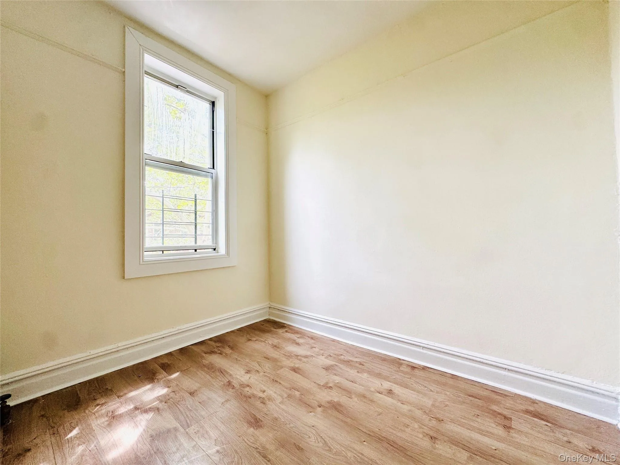 279 Schaefer Street, New York, NY, 2 Bedrooms Bedrooms, 4 Rooms Rooms,1 BathroomBathrooms,Residential Lease,For Rent,Schaefer,0,1045732 279 Schaefer Street, New York, NY, 2 Bedrooms Bedrooms, 4 Rooms Rooms,1 BathroomBathrooms,Residential Lease,For Rent,Schaefer,0,1045732