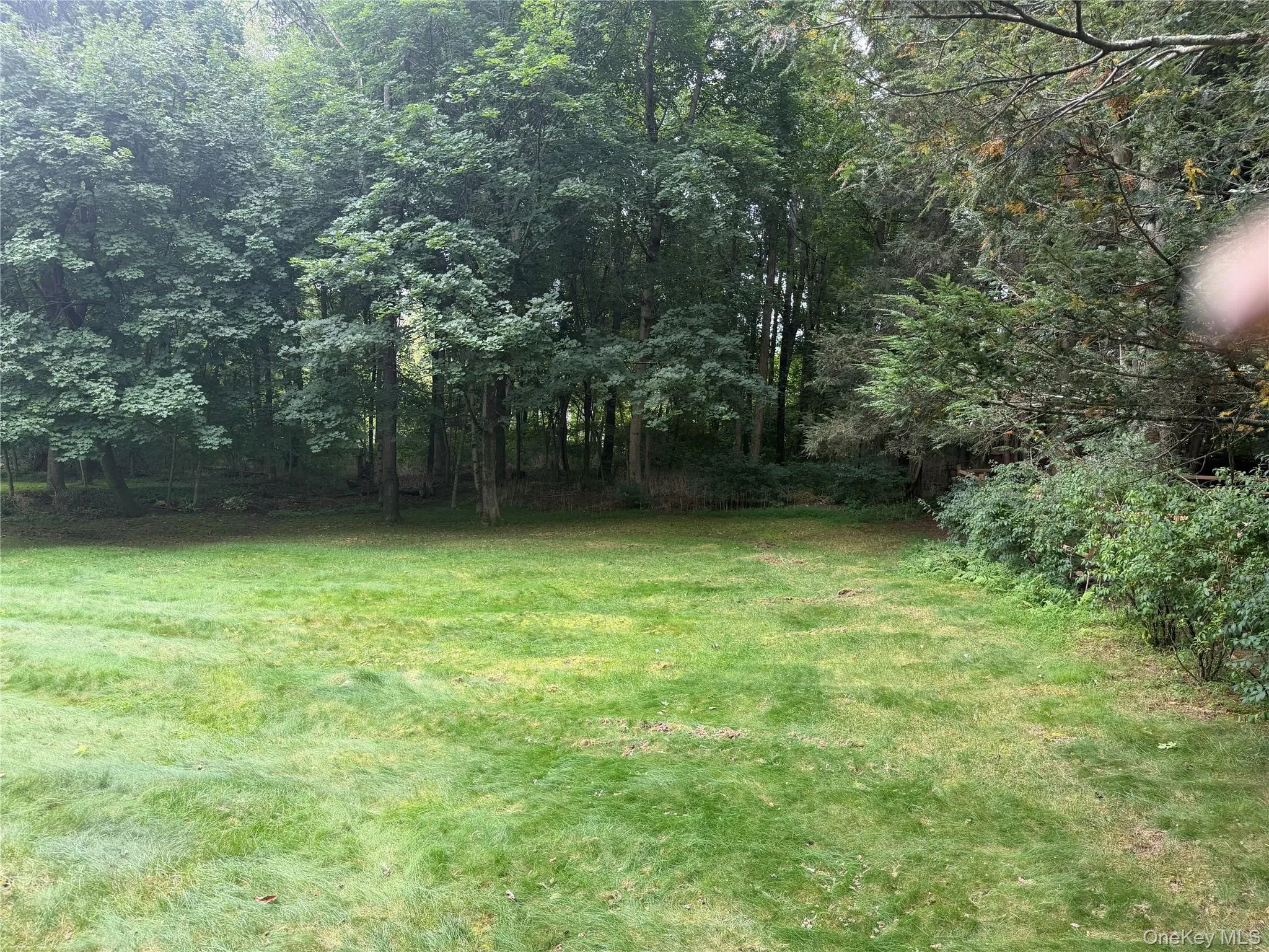 Part of backyard--property goes into back woods Part of backyard--property goes into back woods