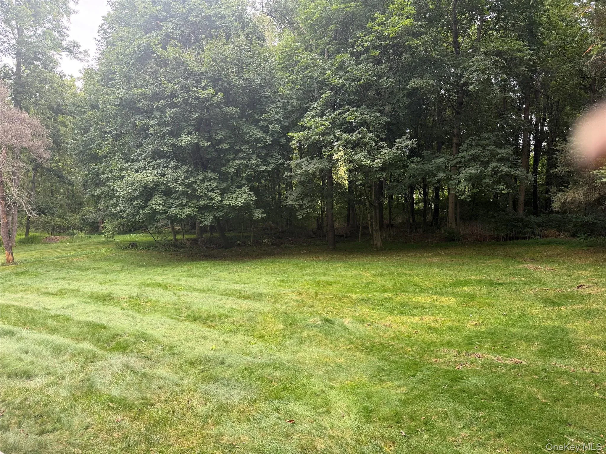 More of backyard More of backyard