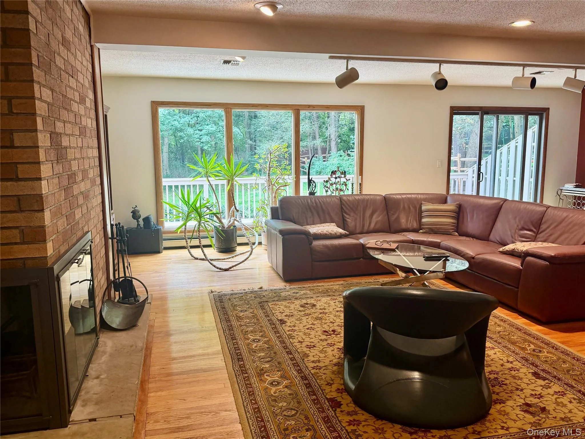 LR with Newer 3 large Windows and Newer Sliding Glass Door LR with Newer 3 large Windows and Newer Sliding Glass Door