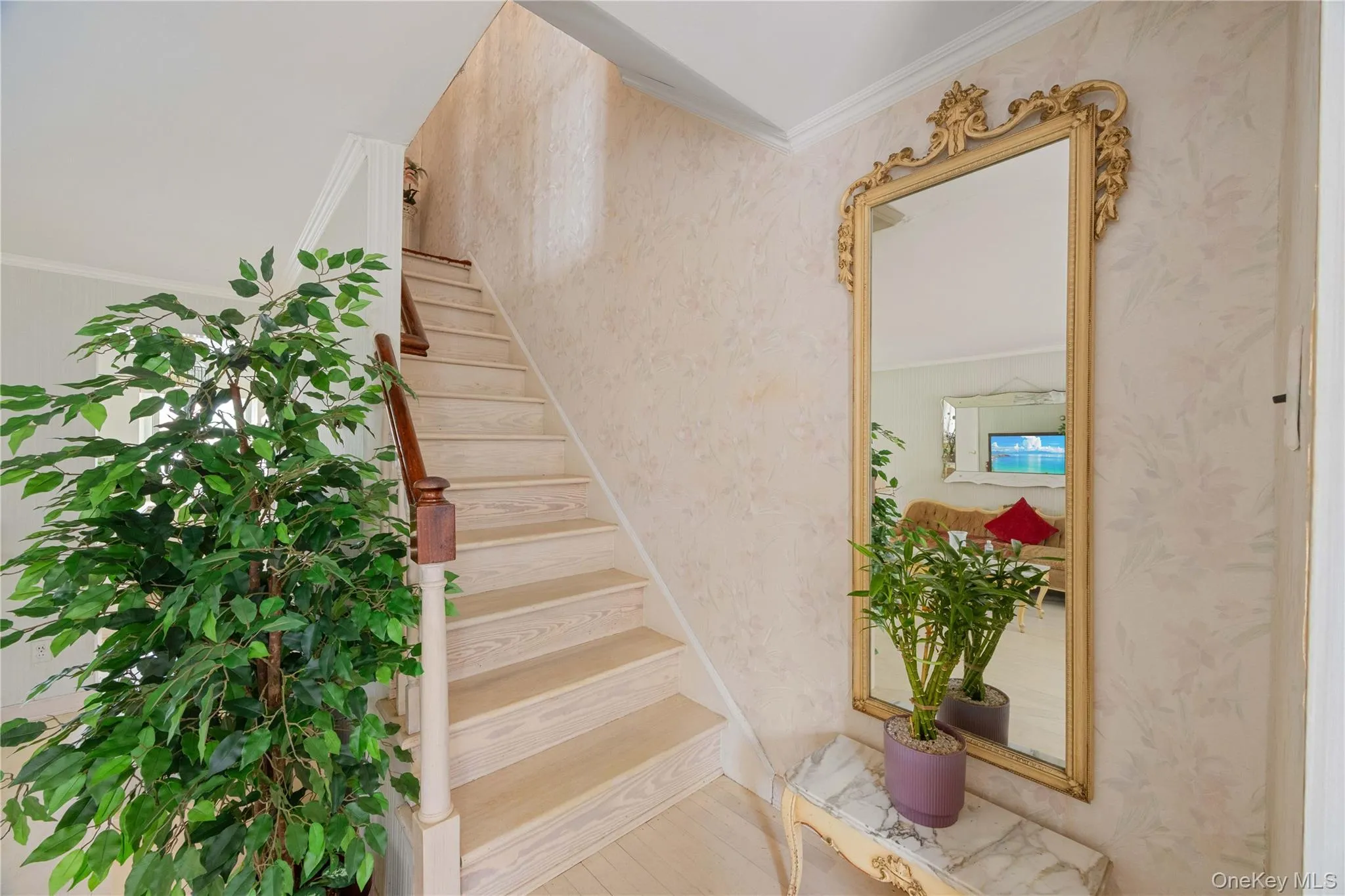 727 Hollywood Avenue, New York, NY, 3 Bedrooms Bedrooms, 5 Rooms Rooms,1 BathroomBathrooms,Residential,For Rent,Hollywood,0,1045765 727 Hollywood Avenue, New York, NY, 3 Bedrooms Bedrooms, 5 Rooms Rooms,1 BathroomBathrooms,Residential,For Rent,Hollywood,0,1045765