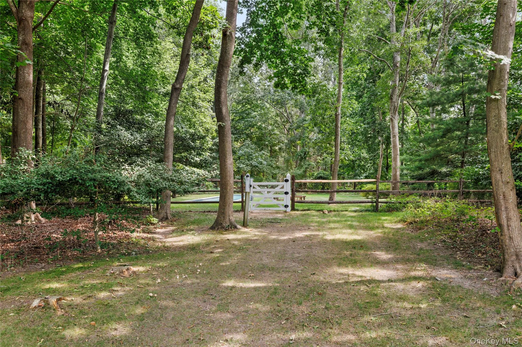 Spacious yard, gate leading to pool area Spacious yard, gate leading to pool area