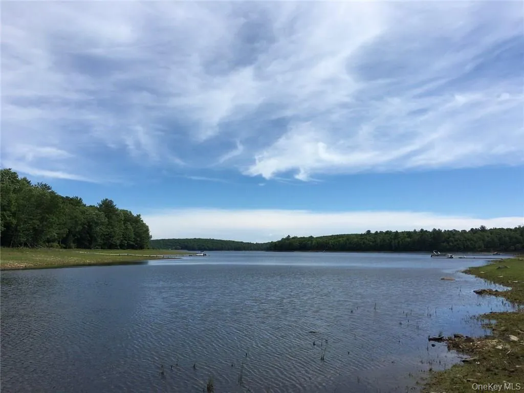 47 Sunrise Point, Bethel, NY, 5 Bedrooms Bedrooms, 12 Rooms Rooms,3 BathroomsBathrooms,Residential,For Rent,Sunrise,0,1045781 47 Sunrise Point, Bethel, NY, 5 Bedrooms Bedrooms, 12 Rooms Rooms,3 BathroomsBathrooms,Residential,For Rent,Sunrise,0,1045781