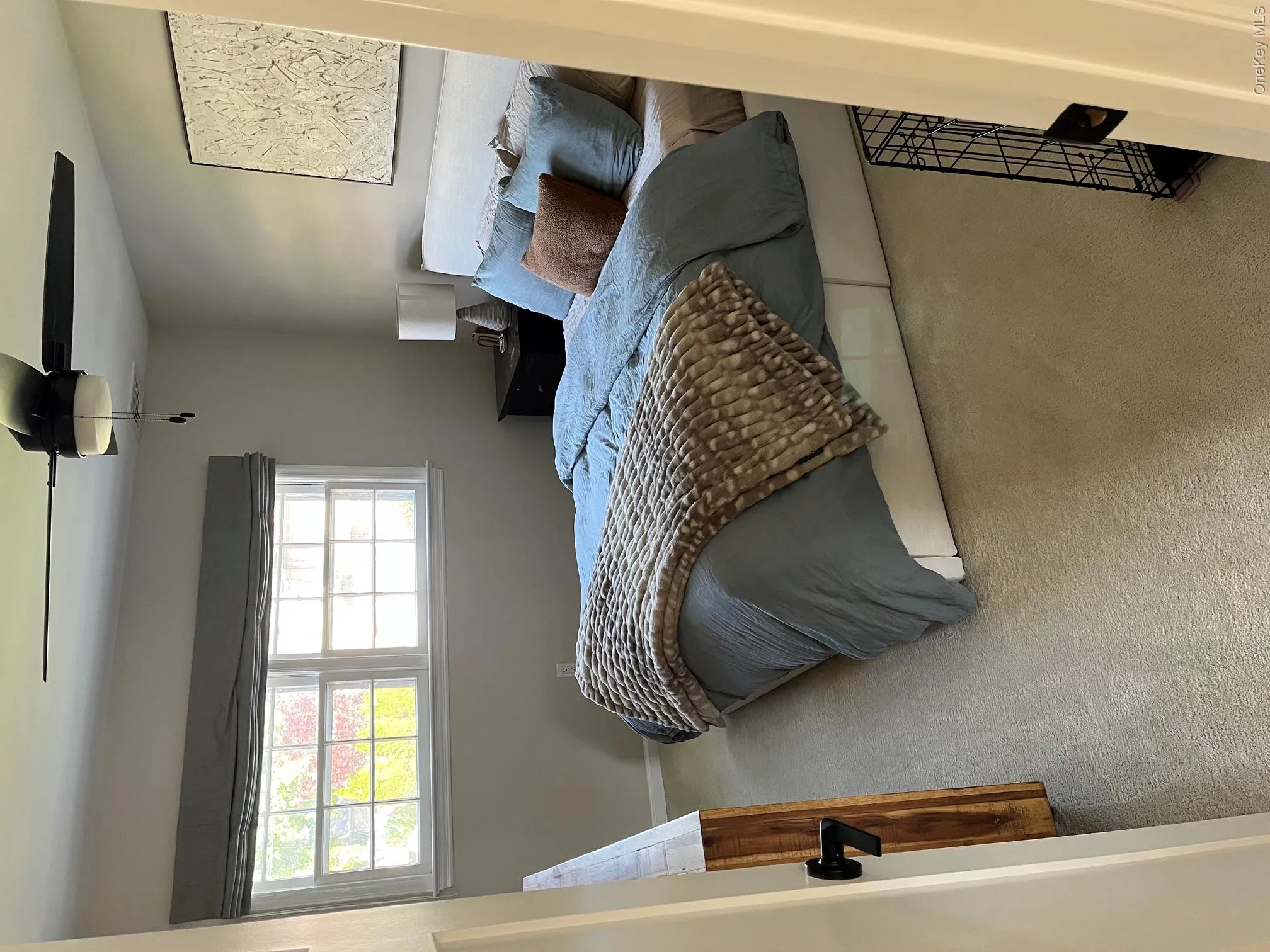 Ceiling fan with light, neutral wall tones, double window, and carpeted flooring Ceiling fan with light, neutral wall tones, double window, and carpeted flooring