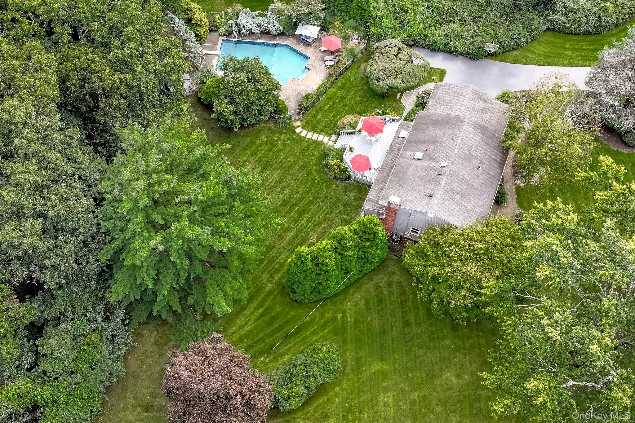 5 Cairngorm Road, Clarkstown, NY, 4 Bedrooms Bedrooms, 14 Rooms Rooms,2 BathroomsBathrooms,Residential,For Rent,Cairngorm,0,1045866 5 Cairngorm Road, Clarkstown, NY, 4 Bedrooms Bedrooms, 14 Rooms Rooms,2 BathroomsBathrooms,Residential,For Rent,Cairngorm,0,1045866