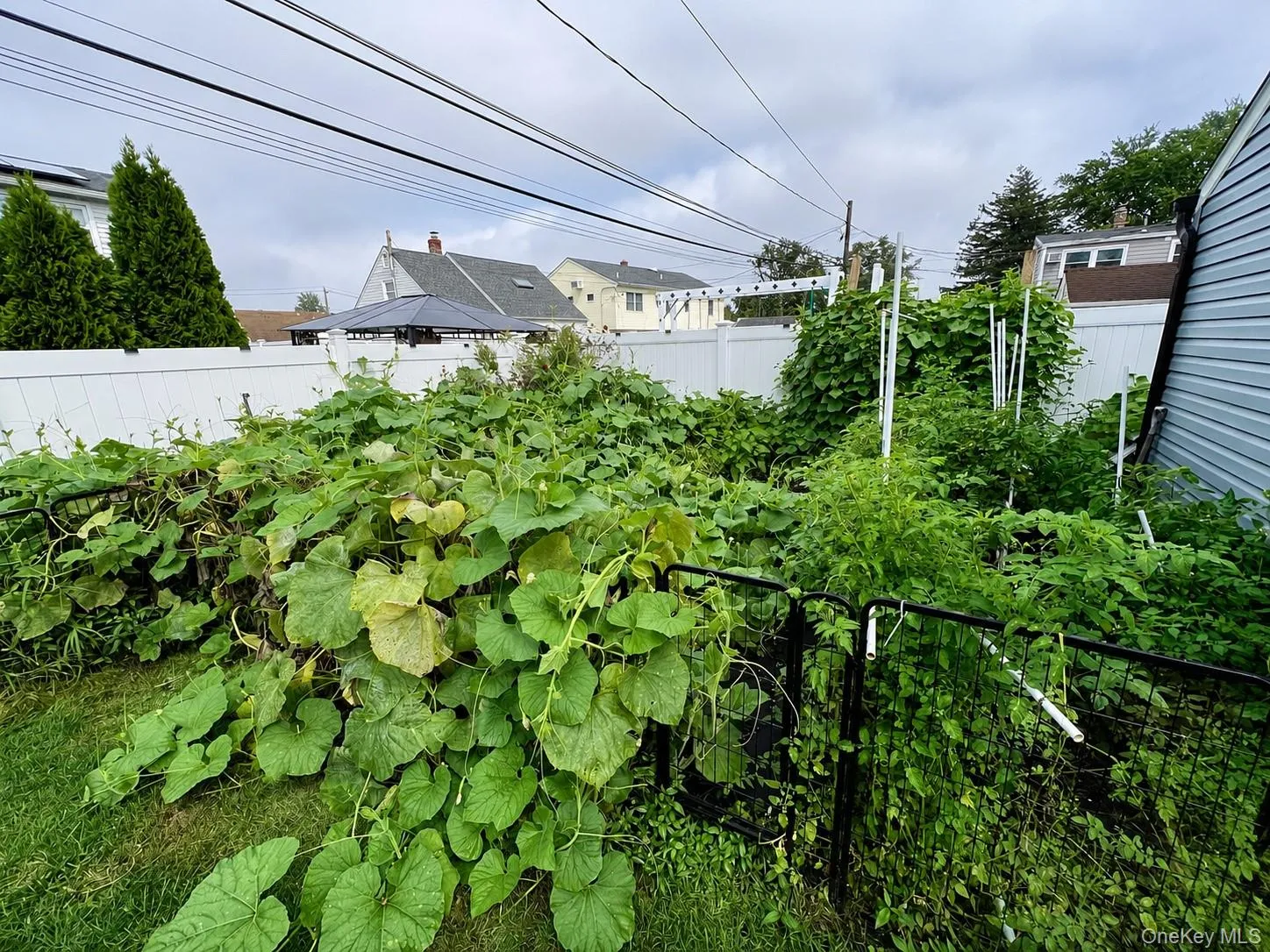 107 Azalea Road, Hempstead, NY, 3 Bedrooms Bedrooms, 5 Rooms Rooms,1 BathroomBathrooms,Residential,For Rent,Azalea,0,1045874 107 Azalea Road, Hempstead, NY, 3 Bedrooms Bedrooms, 5 Rooms Rooms,1 BathroomBathrooms,Residential,For Rent,Azalea,0,1045874