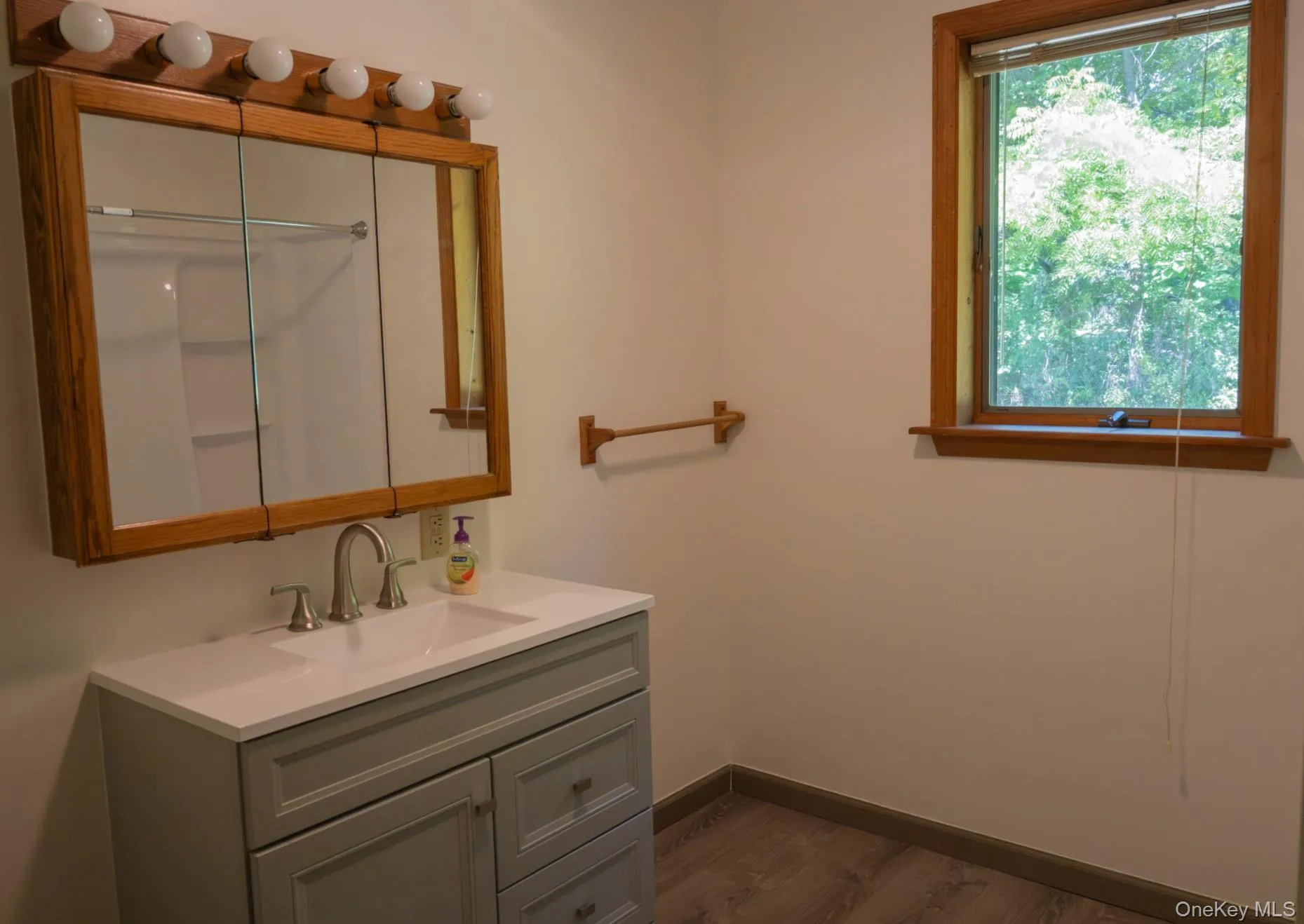 Vanity with a rectangular sink, dual-handle faucet, and light gray cabinetry Vanity with a rectangular sink, dual-handle faucet, and light gray cabinetry