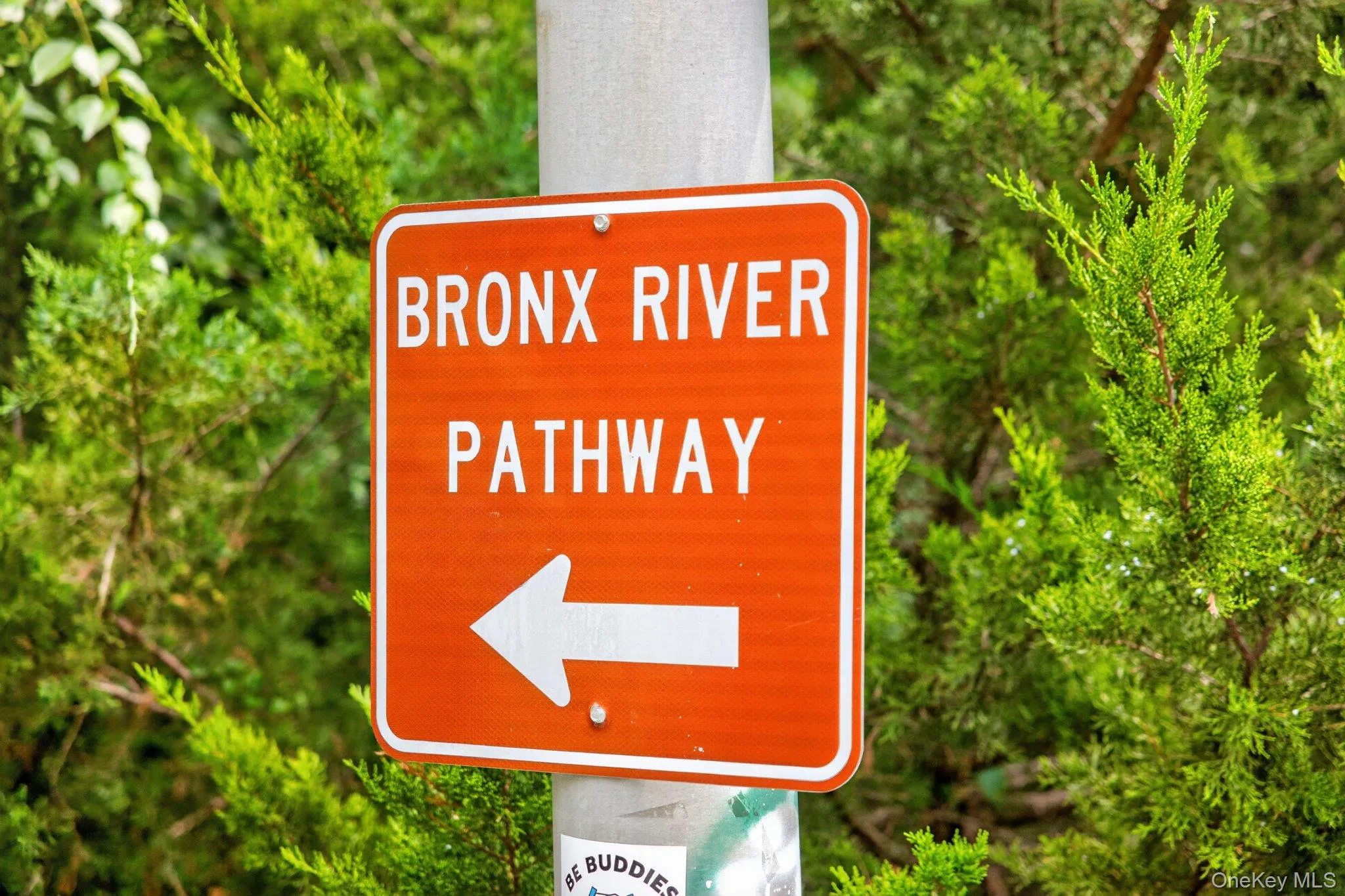 The wonderful Bronx River Pathway runs through Hartsdale Village with lovely trails for walking, running and biking. The wonderful Bronx River Pathway runs through Hartsdale Village with lovely trails for walking, running and biking.
