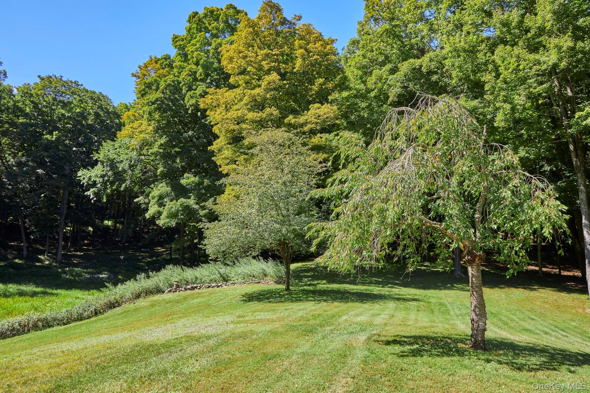 8 Old North Anson Way, Stanford, NY, 2 Bedrooms Bedrooms, 5 Rooms Rooms,1 BathroomBathrooms,Residential,For Rent,Old North Anson,0,1045934 8 Old North Anson Way, Stanford, NY, 2 Bedrooms Bedrooms, 5 Rooms Rooms,1 BathroomBathrooms,Residential,For Rent,Old North Anson,0,1045934