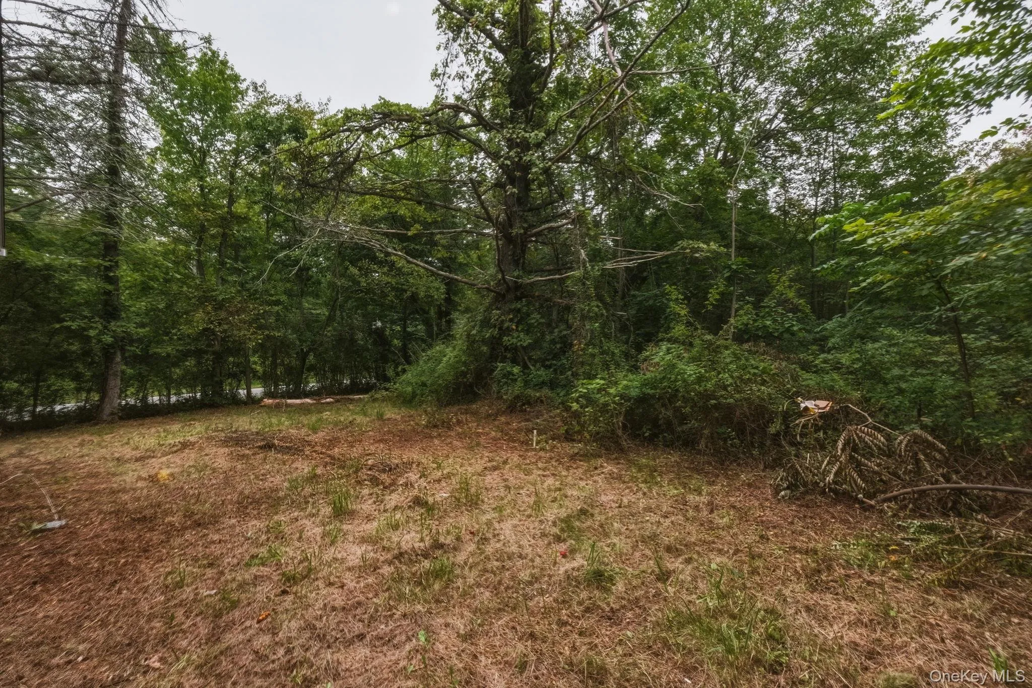 395 Route 17K, Crawford, NY, 3 Bedrooms Bedrooms, 6 Rooms Rooms,1 BathroomBathrooms,Residential,For Rent,Route 17K,0,1045936 395 Route 17K, Crawford, NY, 3 Bedrooms Bedrooms, 6 Rooms Rooms,1 BathroomBathrooms,Residential,For Rent,Route 17K,0,1045936