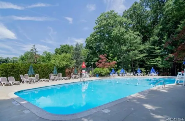 Outdoor swimming pool with concrete decking and lush perimeter landscaping Outdoor swimming pool with concrete decking and lush perimeter landscaping