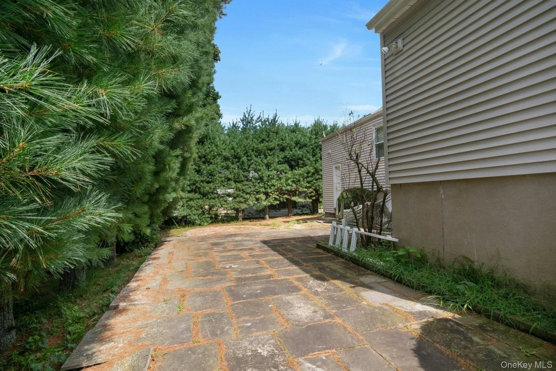 Patio Off Dining Room/Family Room Patio Off Dining Room/Family Room