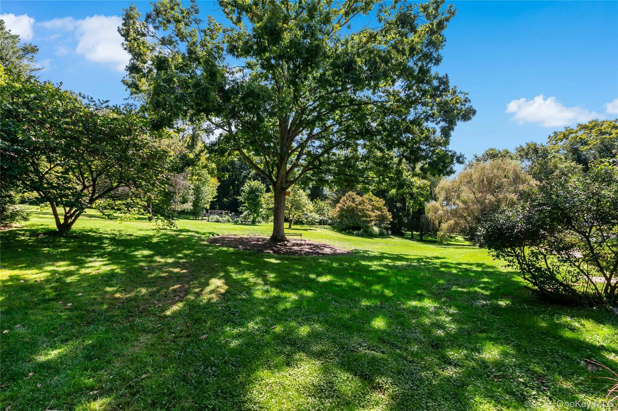 Specimen trees including peach, apple, dogwood, and more. Specimen trees including peach, apple, dogwood, and more.