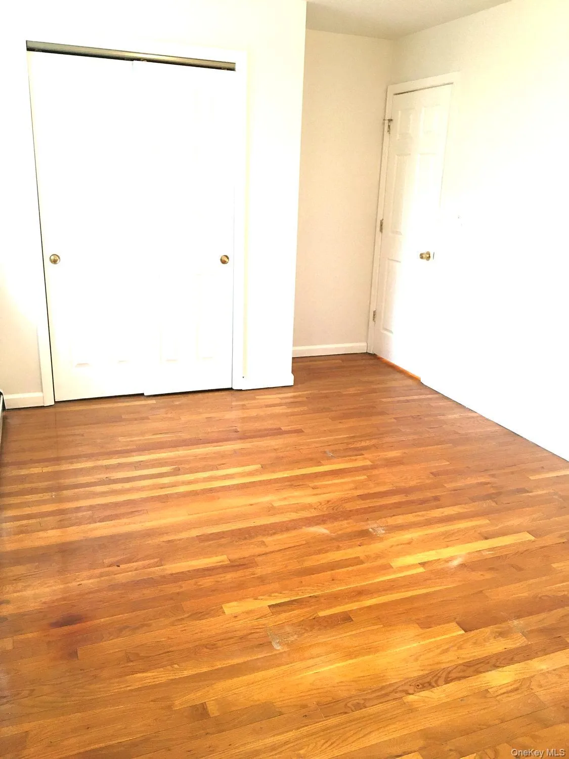 82-81 88th Place, New York, NY, 3 Bedrooms Bedrooms, 6 Rooms Rooms,2 BathroomsBathrooms,Residential Lease,For Rent,88th,0,1046153 82-81 88th Place, New York, NY, 3 Bedrooms Bedrooms, 6 Rooms Rooms,2 BathroomsBathrooms,Residential Lease,For Rent,88th,0,1046153