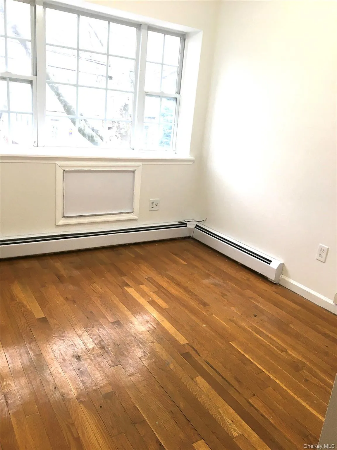 82-81 88th Place, New York, NY, 3 Bedrooms Bedrooms, 6 Rooms Rooms,2 BathroomsBathrooms,Residential Lease,For Rent,88th,0,1046153 82-81 88th Place, New York, NY, 3 Bedrooms Bedrooms, 6 Rooms Rooms,2 BathroomsBathrooms,Residential Lease,For Rent,88th,0,1046153