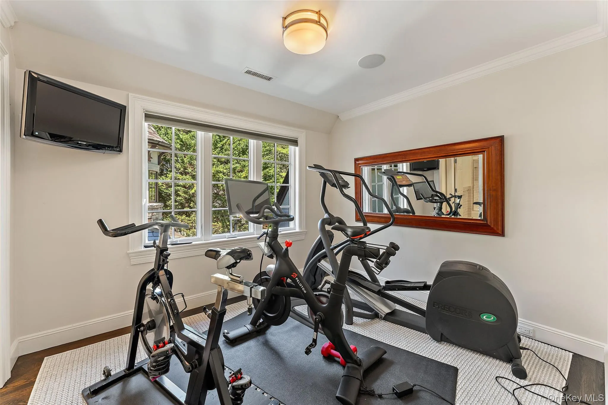Gym/Bedroom Gym/Bedroom