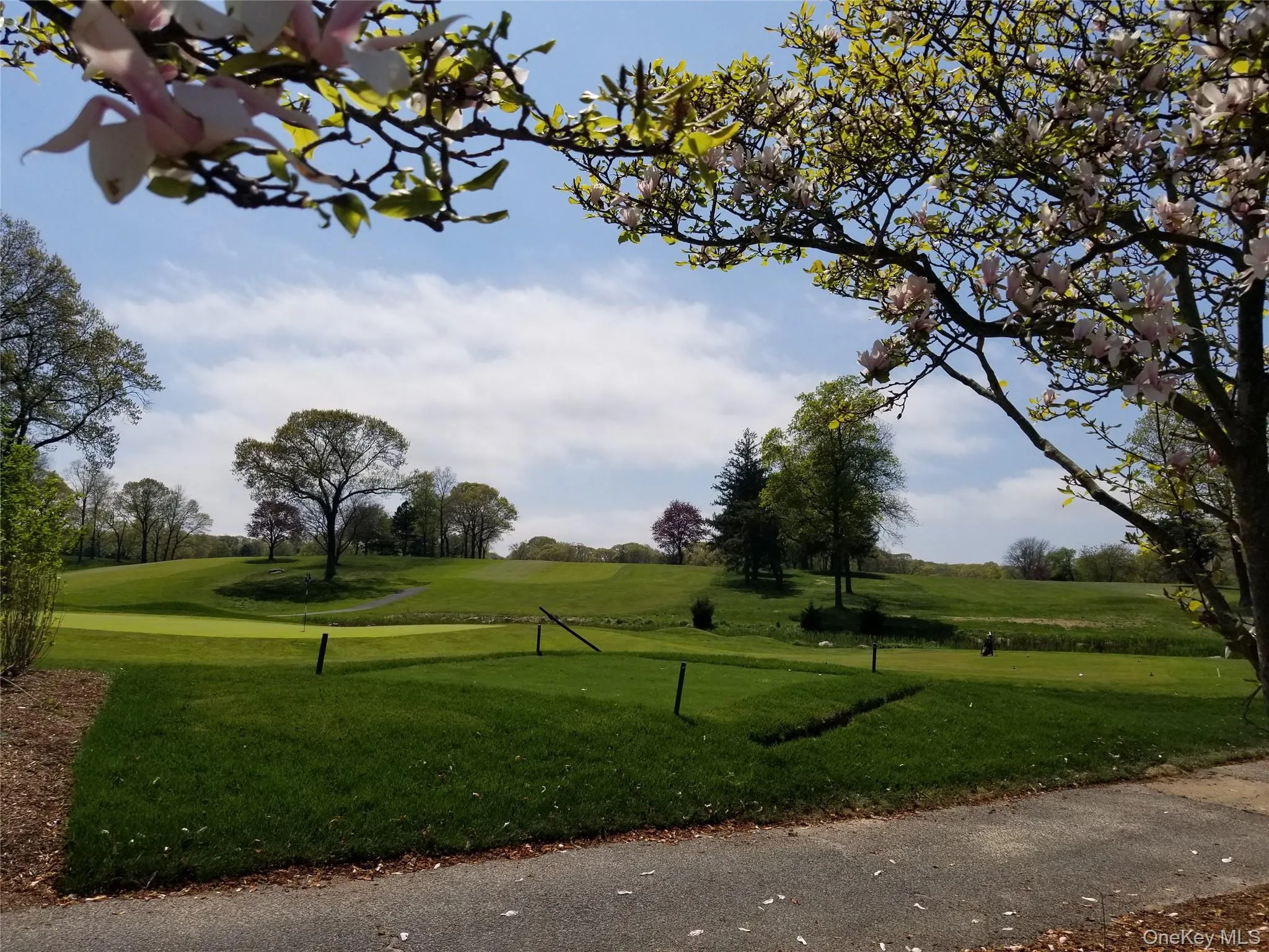 7 Waterview Drive, Brookhaven, NY, 4 Bedrooms Bedrooms, 8 Rooms Rooms,3 BathroomsBathrooms,Residential,For Rent,Waterview,0,1046184 7 Waterview Drive, Brookhaven, NY, 4 Bedrooms Bedrooms, 8 Rooms Rooms,3 BathroomsBathrooms,Residential,For Rent,Waterview,0,1046184