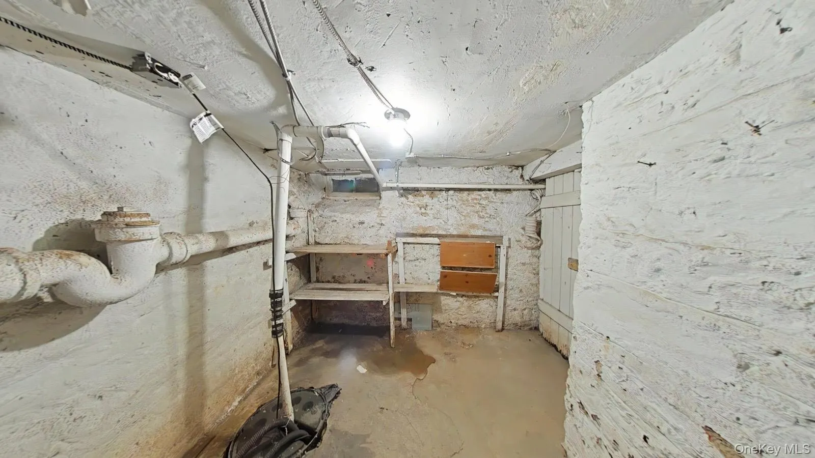 3378 Fort Independence Street, New York, NY, 4 Bedrooms Bedrooms, 10 Rooms Rooms,1 BathroomBathrooms,Residential,For Rent,Fort Independence,0,1046191 3378 Fort Independence Street, New York, NY, 4 Bedrooms Bedrooms, 10 Rooms Rooms,1 BathroomBathrooms,Residential,For Rent,Fort Independence,0,1046191