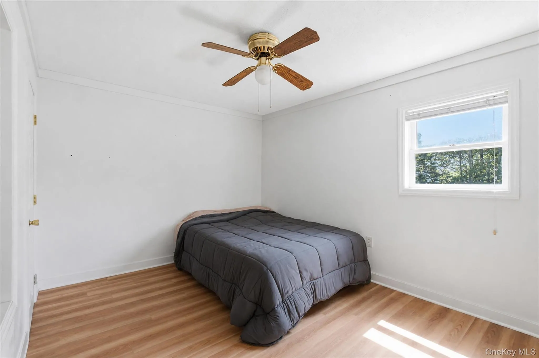 7 Idlewild Avenue, Cornwall, NY, 1 Bedroom Bedrooms, 3 Rooms Rooms,1 BathroomBathrooms,Residential Lease,For Rent,Idlewild,0,1046221 7 Idlewild Avenue, Cornwall, NY, 1 Bedroom Bedrooms, 3 Rooms Rooms,1 BathroomBathrooms,Residential Lease,For Rent,Idlewild,0,1046221
