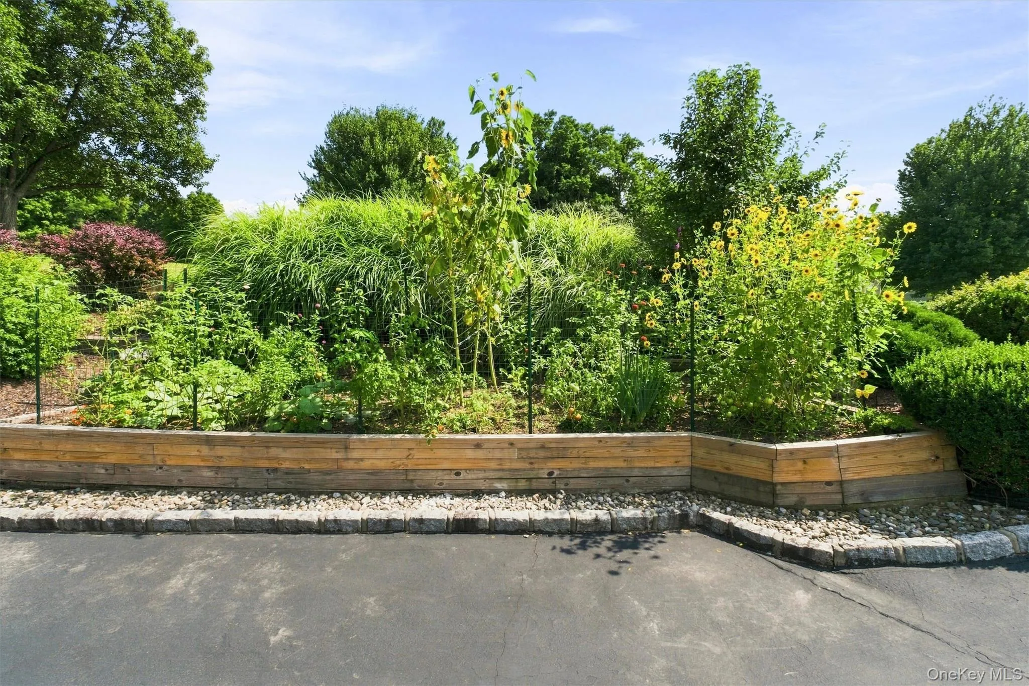 Beautiful vegetable and flower garden Beautiful vegetable and flower garden