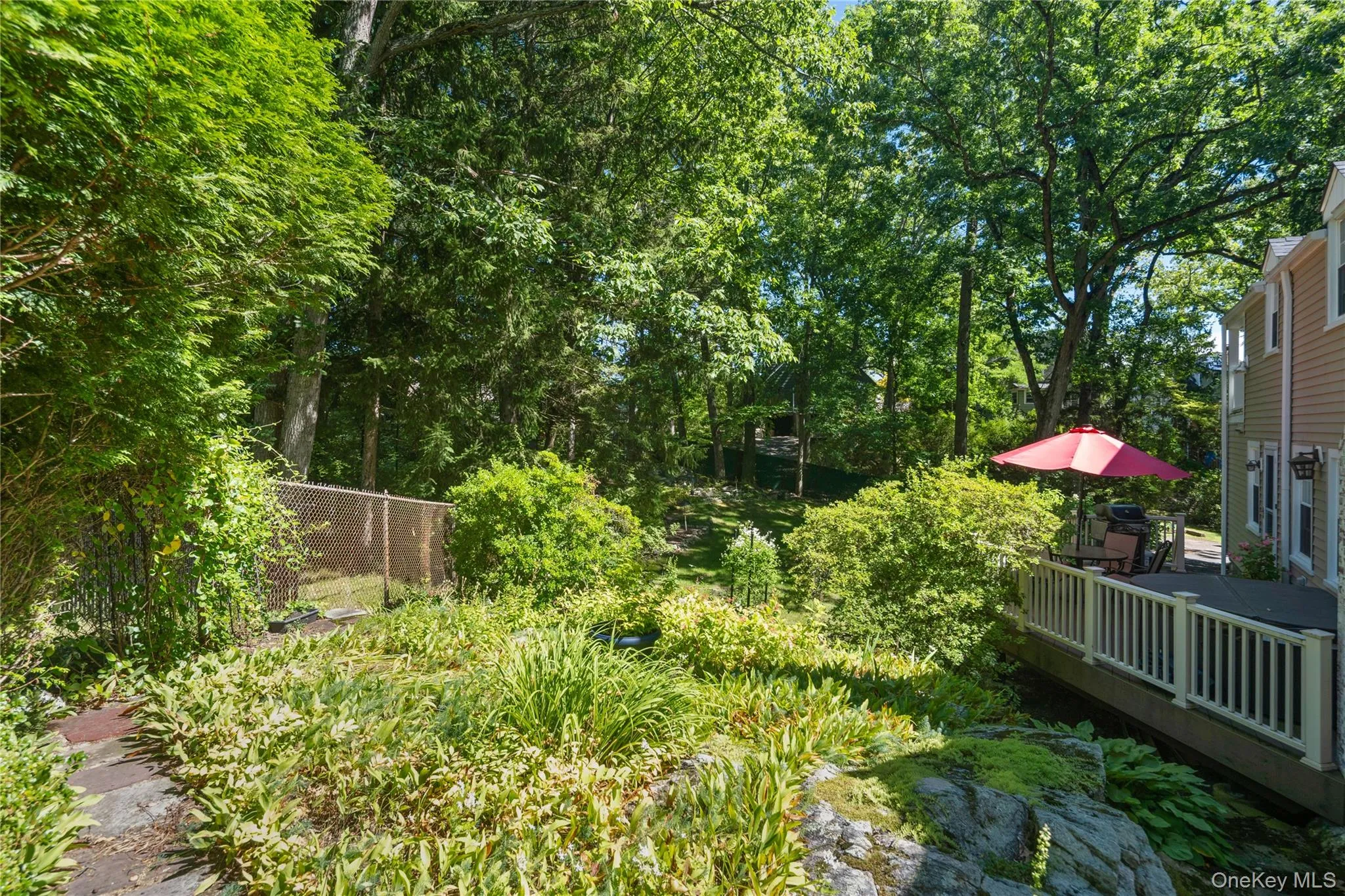 Side yard/ garden offering seasonal surprises and colors. Side yard/ garden offering seasonal surprises and colors.