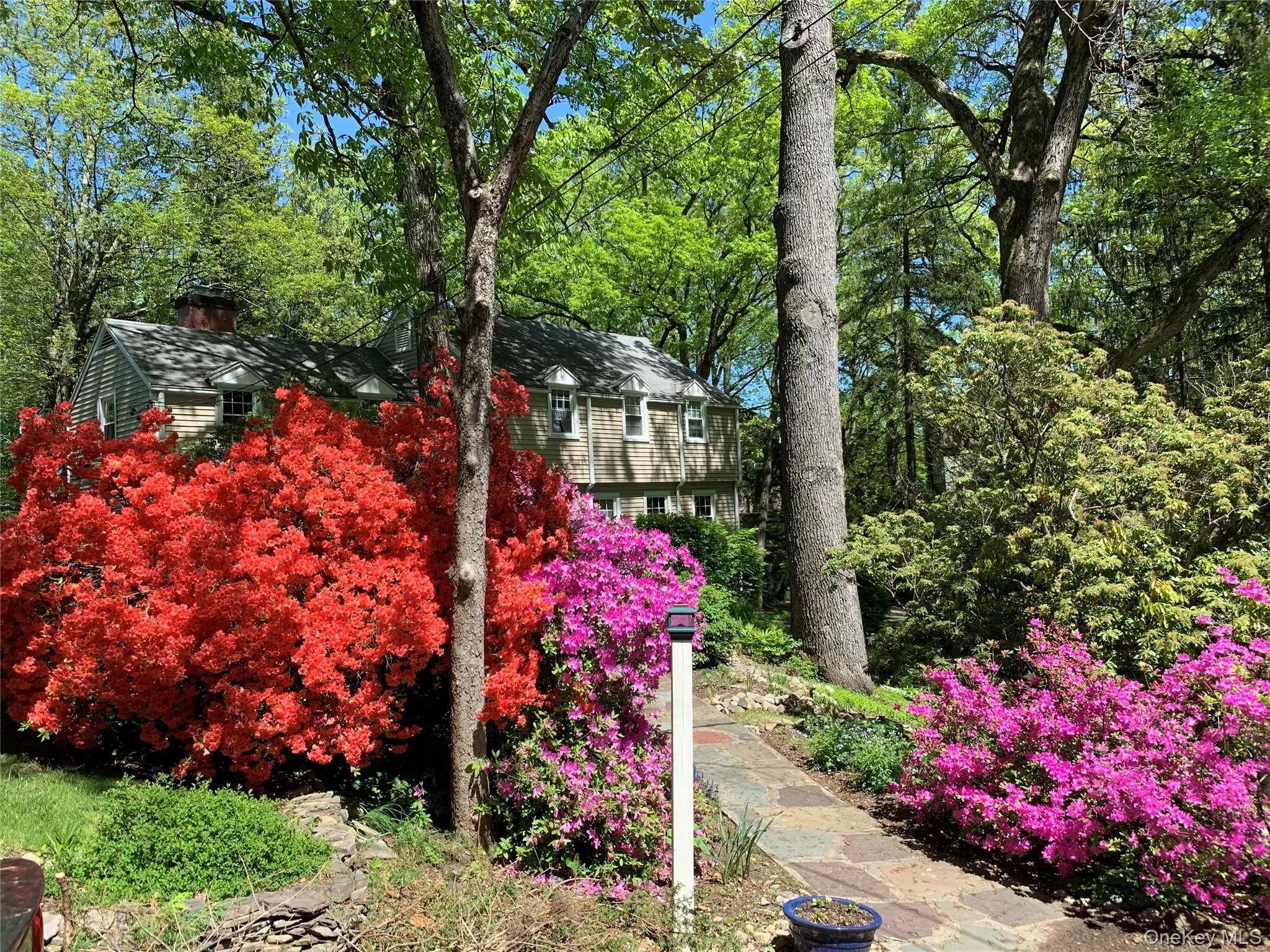 Azaleas in bloom flank the front walkway. Azaleas in bloom flank the front walkway.