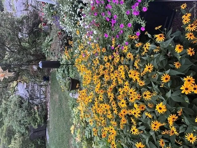 Gardens in bloom. Gardens in bloom.
