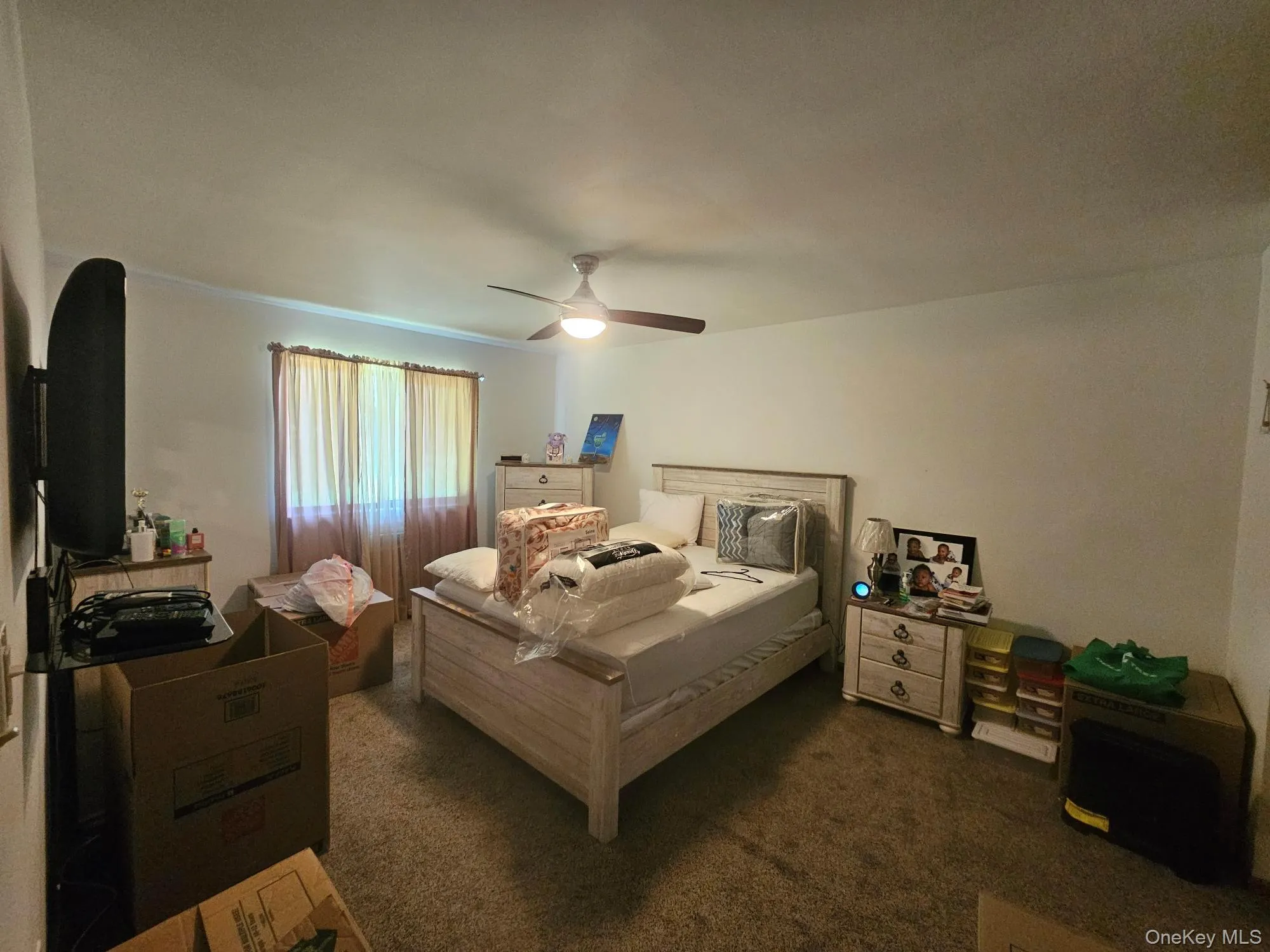 Oversized primary plush carpeting, ceiling fan and wall mounted AC. Oversized primary plush carpeting, ceiling fan and wall mounted AC.