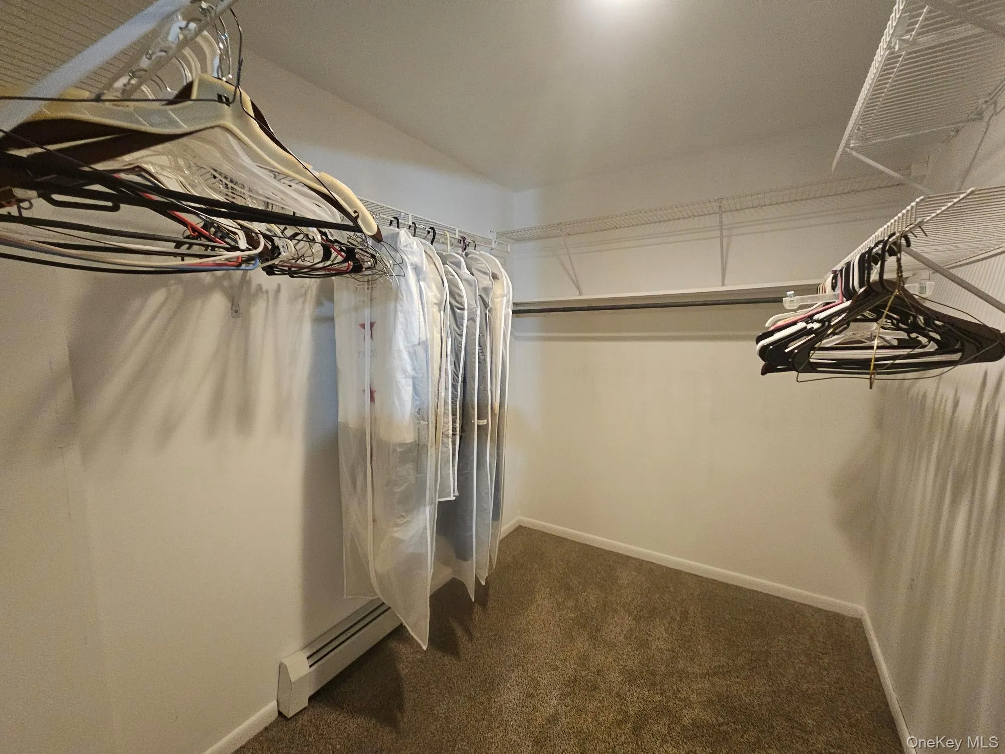 Carpeted closet with wire shelving, and hanging rods Carpeted closet with wire shelving, and hanging rods