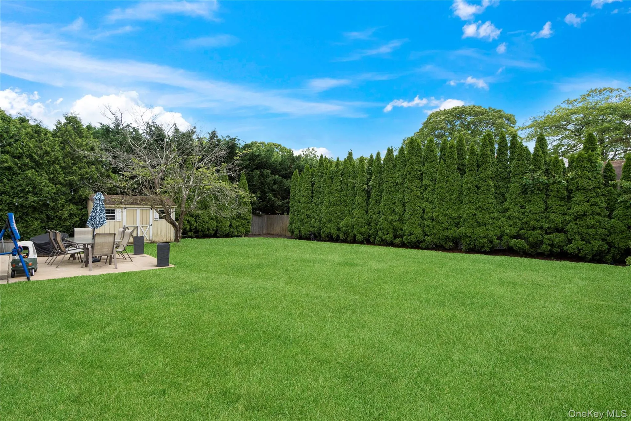 View of yard featuring a patio and a view of trees View of yard featuring a patio and a view of trees