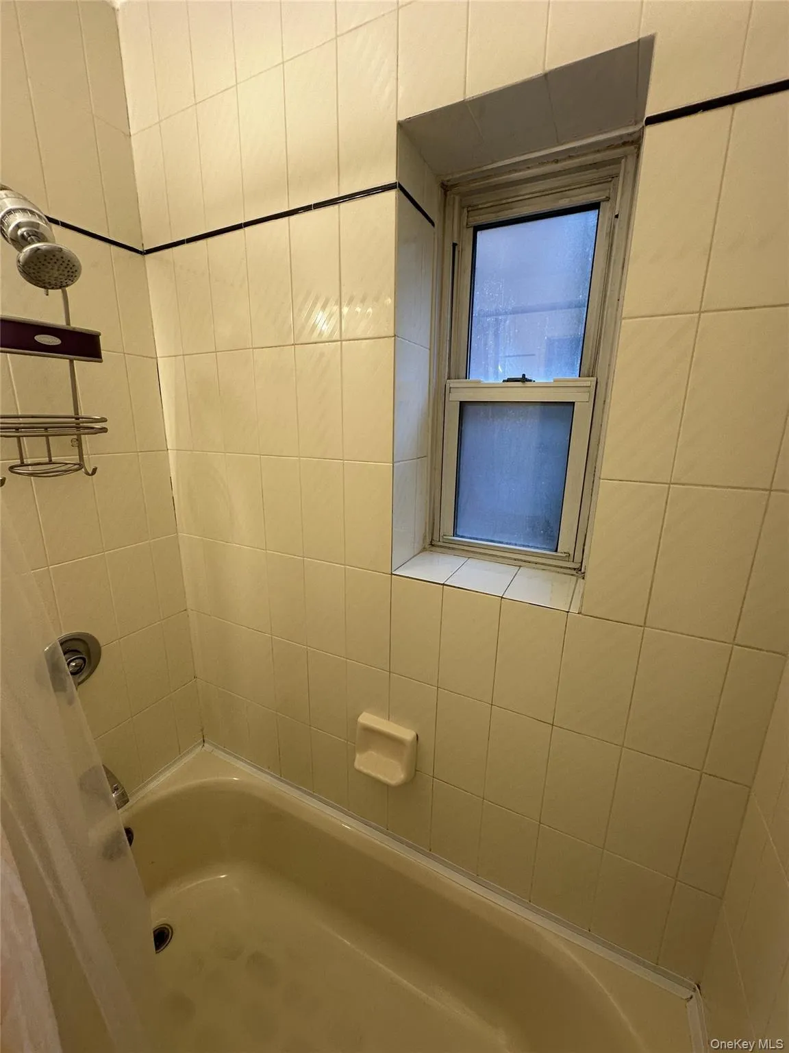 Tub and shower with a window for natural light. Tub and shower with a window for natural light.
