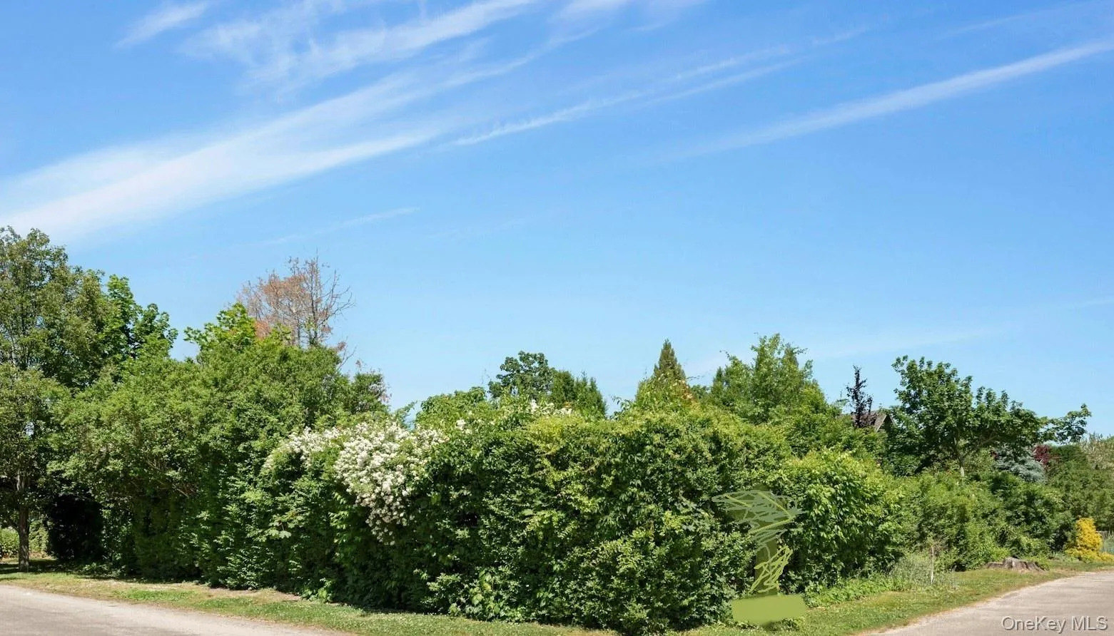 1100 7th Street, Southold, NY, 1 Bedroom Bedrooms, 4 Rooms Rooms,1 BathroomBathrooms,Residential Lease,For Rent,7th,0,1046420 1100 7th Street, Southold, NY, 1 Bedroom Bedrooms, 4 Rooms Rooms,1 BathroomBathrooms,Residential Lease,For Rent,7th,0,1046420