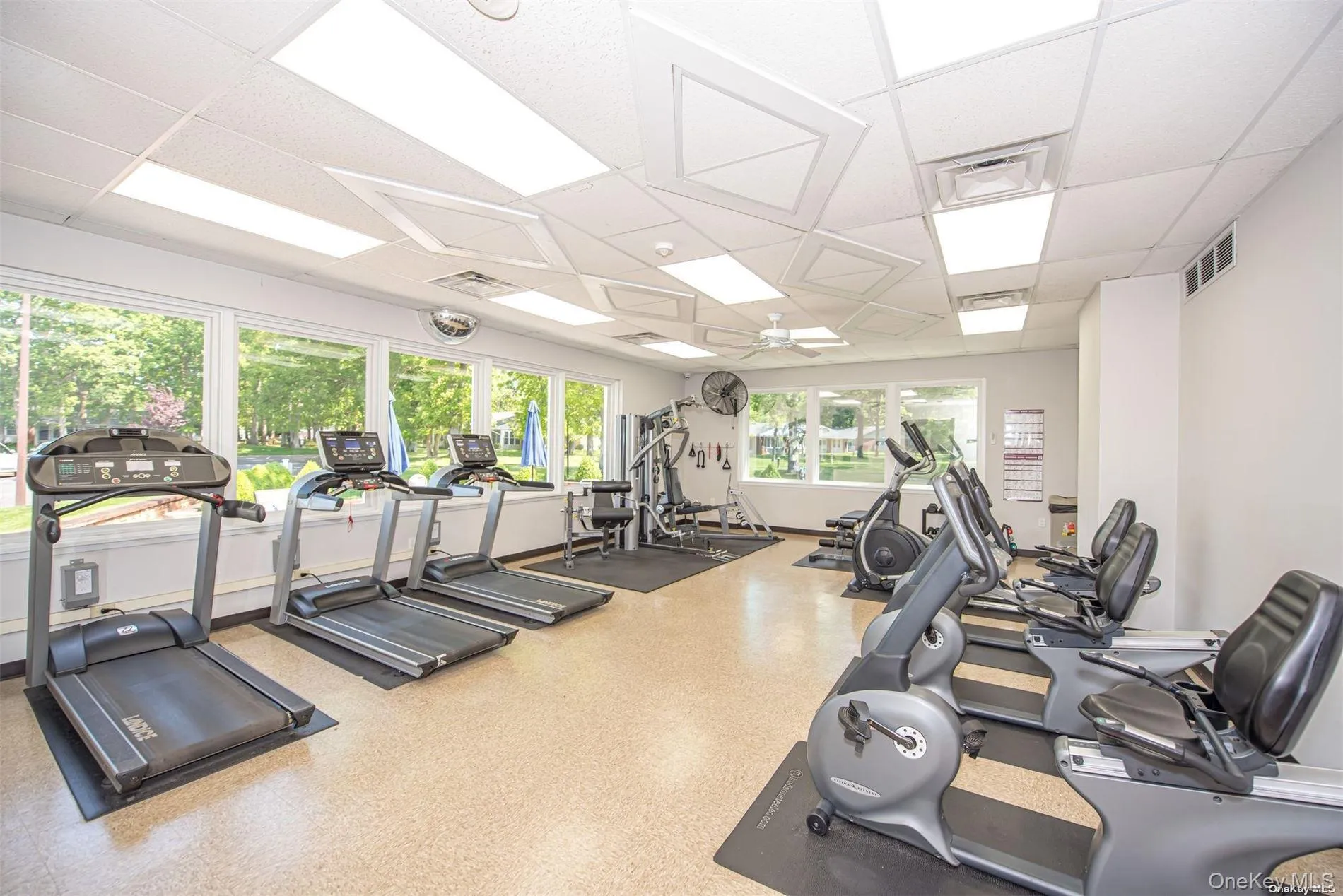 474 Darwen Drive, Brookhaven, NY, 2 Bedrooms Bedrooms, 5 Rooms Rooms,2 BathroomsBathrooms,Residential Lease,For Rent,Darwen,0,1046453 474 Darwen Drive, Brookhaven, NY, 2 Bedrooms Bedrooms, 5 Rooms Rooms,2 BathroomsBathrooms,Residential Lease,For Rent,Darwen,0,1046453
