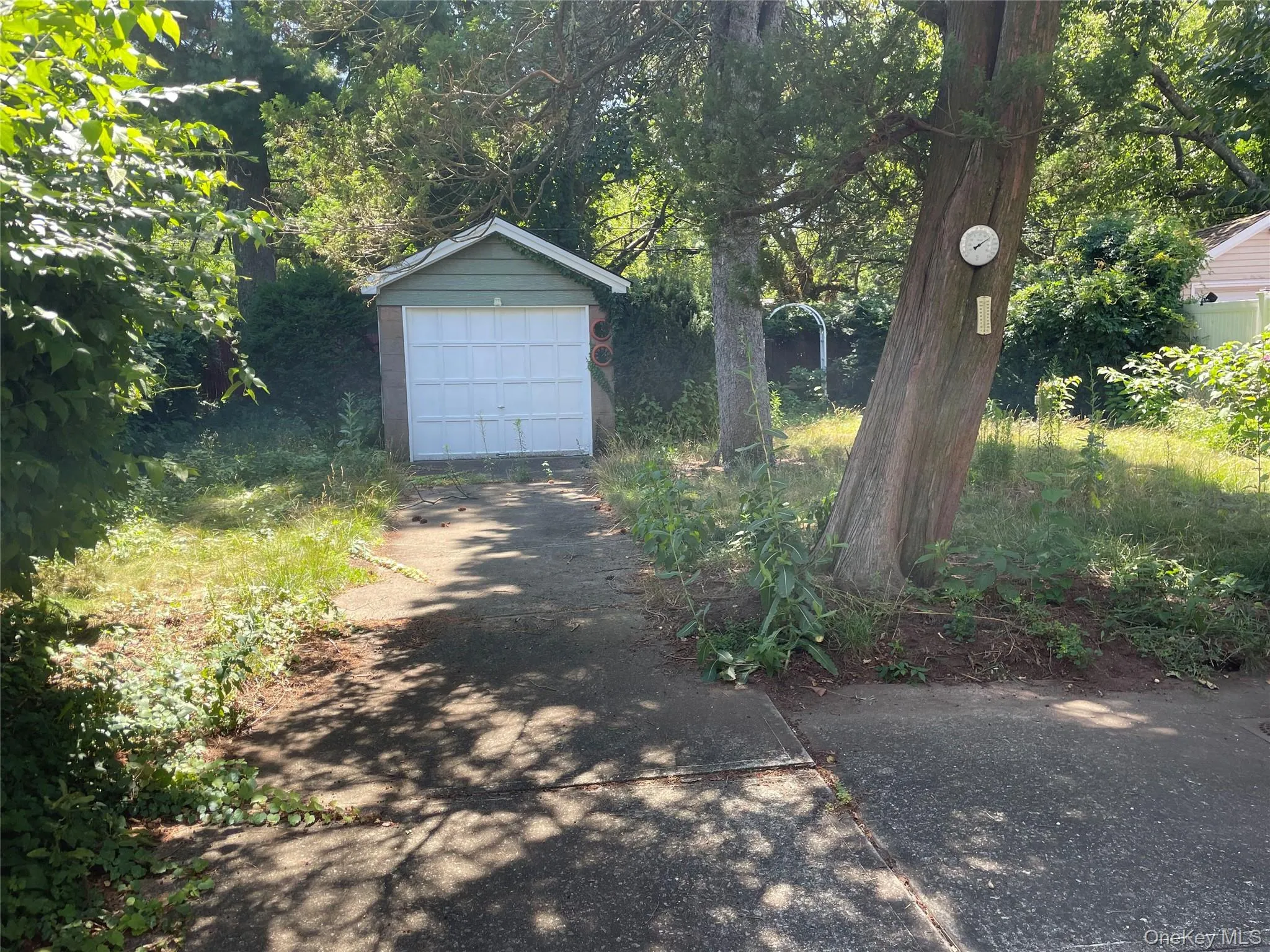80-30 64th Lane, New York, NY, 3 Bedrooms Bedrooms, 7 Rooms Rooms,2 BathroomsBathrooms,Residential,For Rent,64th,0,1046461 80-30 64th Lane, New York, NY, 3 Bedrooms Bedrooms, 7 Rooms Rooms,2 BathroomsBathrooms,Residential,For Rent,64th,0,1046461