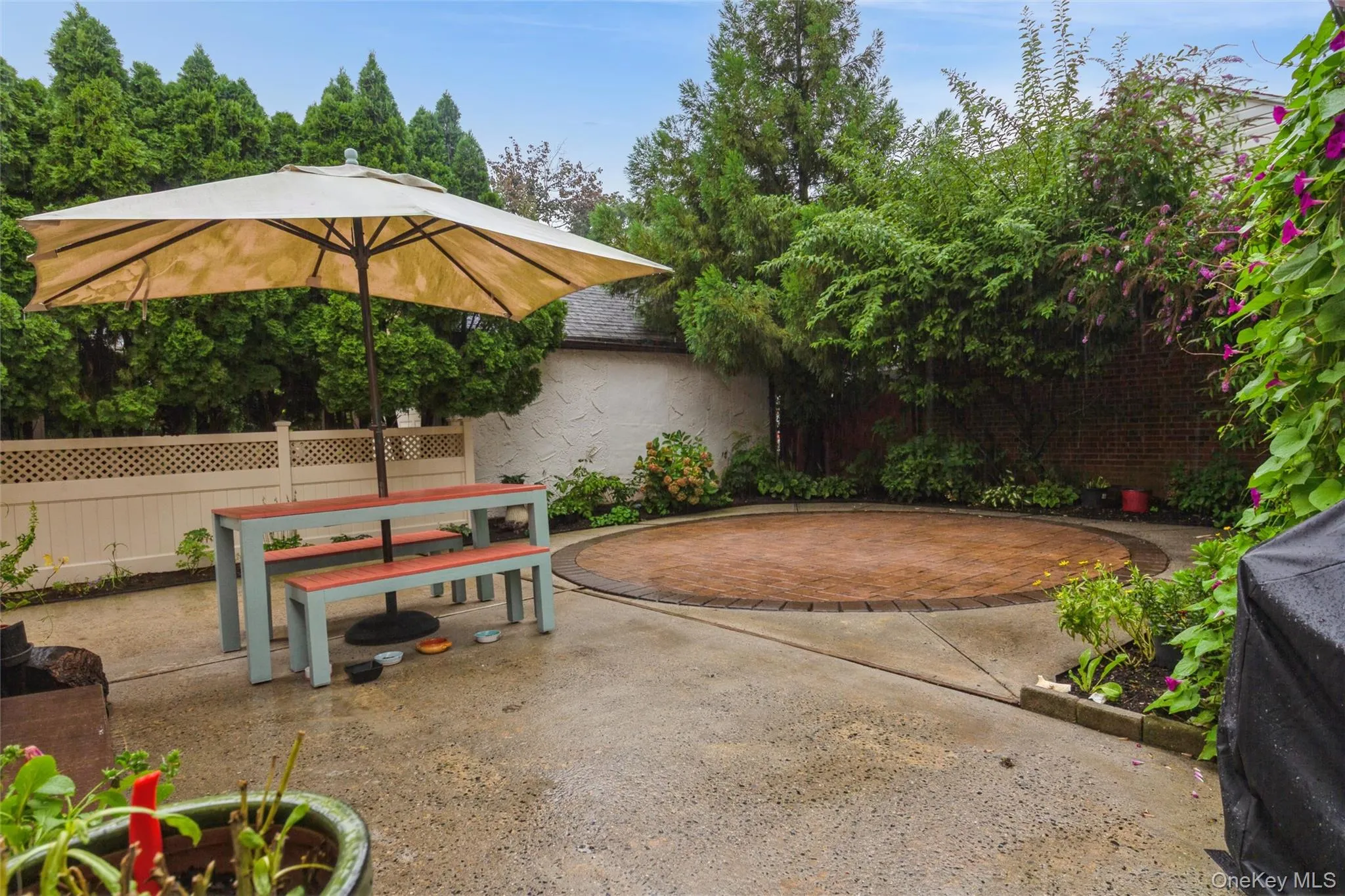 Backyard Backyard