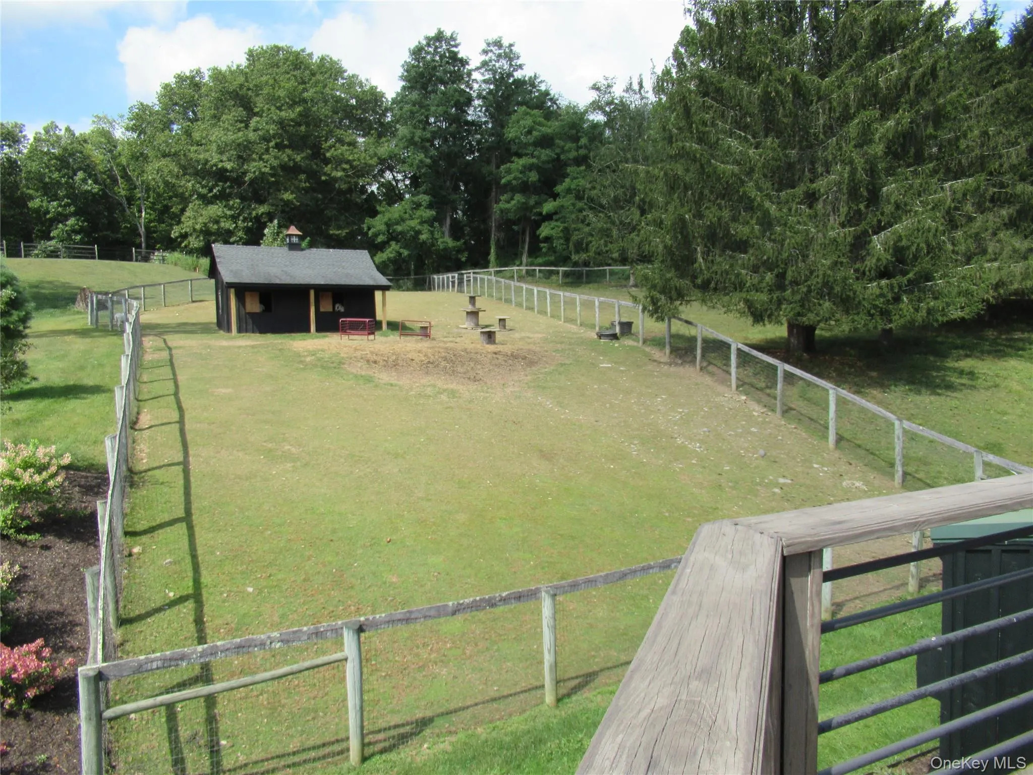 Paddock for miniature horses Paddock for miniature horses
