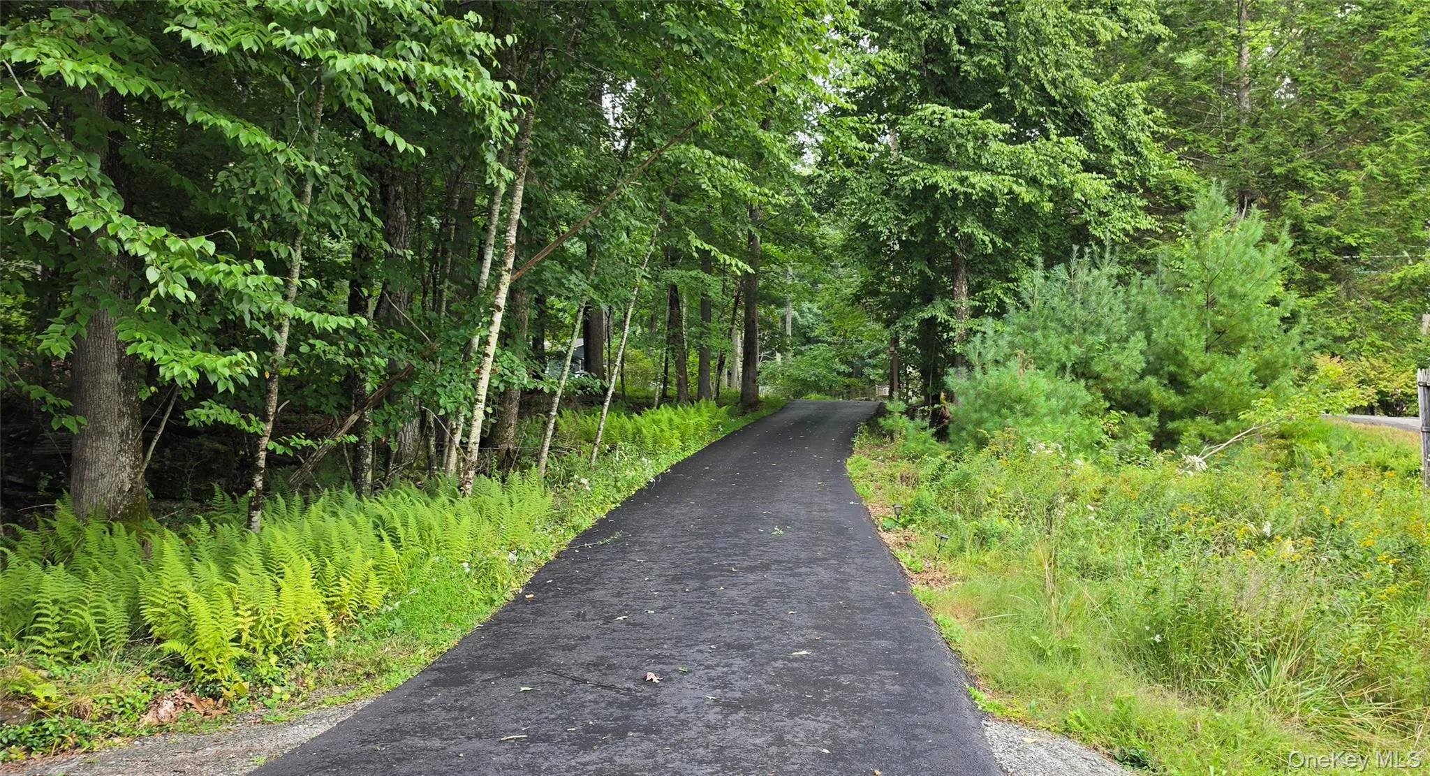 driveway driveway
