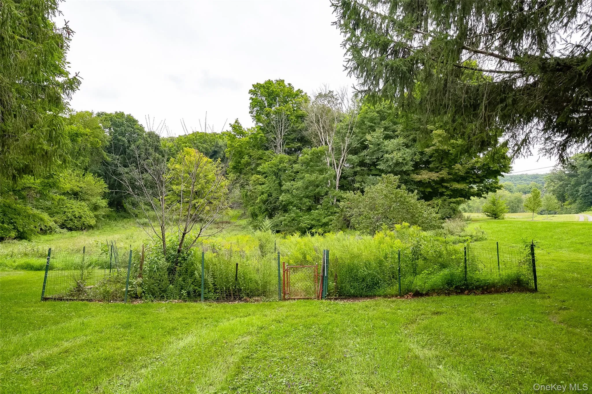 Former vegetable garden. Former vegetable garden.